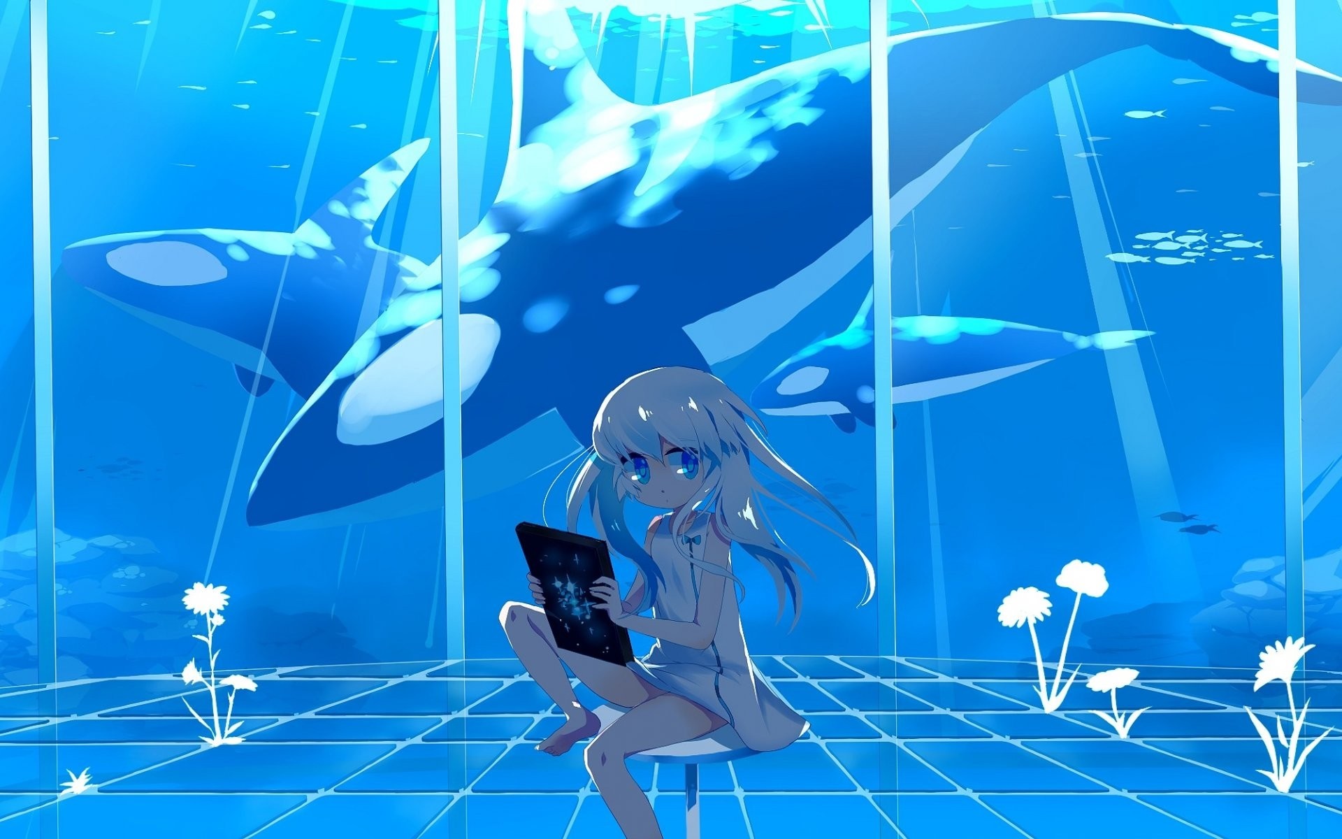 Anime girl with tablet underwater with orcas HD Wallpaper