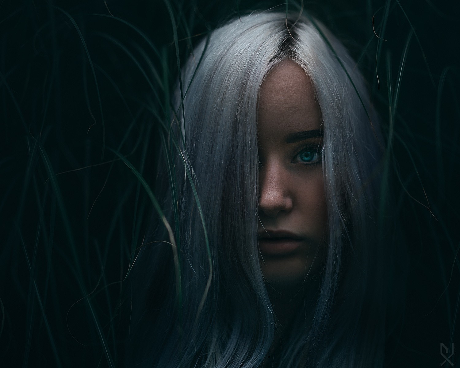 Woman with white hair and blue eyes in tall grass HD Wallpaper