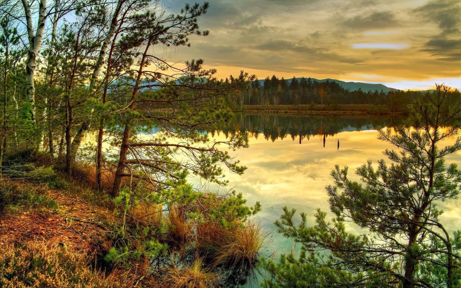 Trees reflecting in a lake at sunset HD Wallpaper