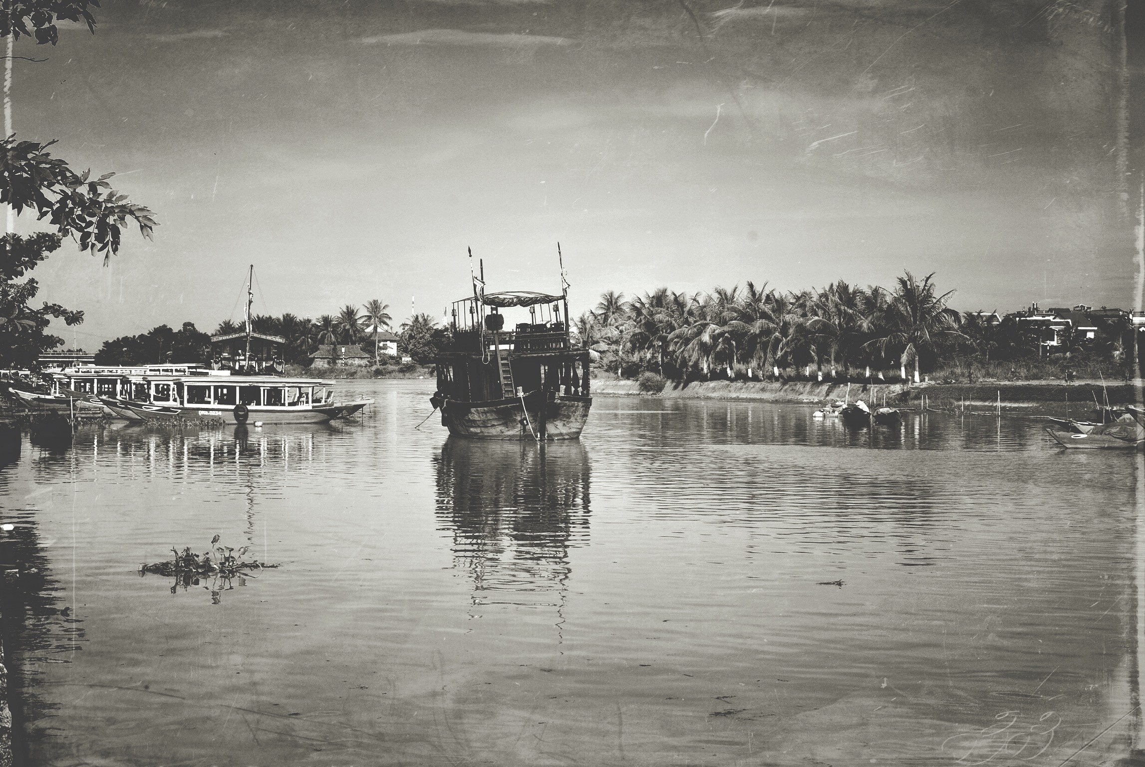 Boats on a river with palm trees HD Wallpaper