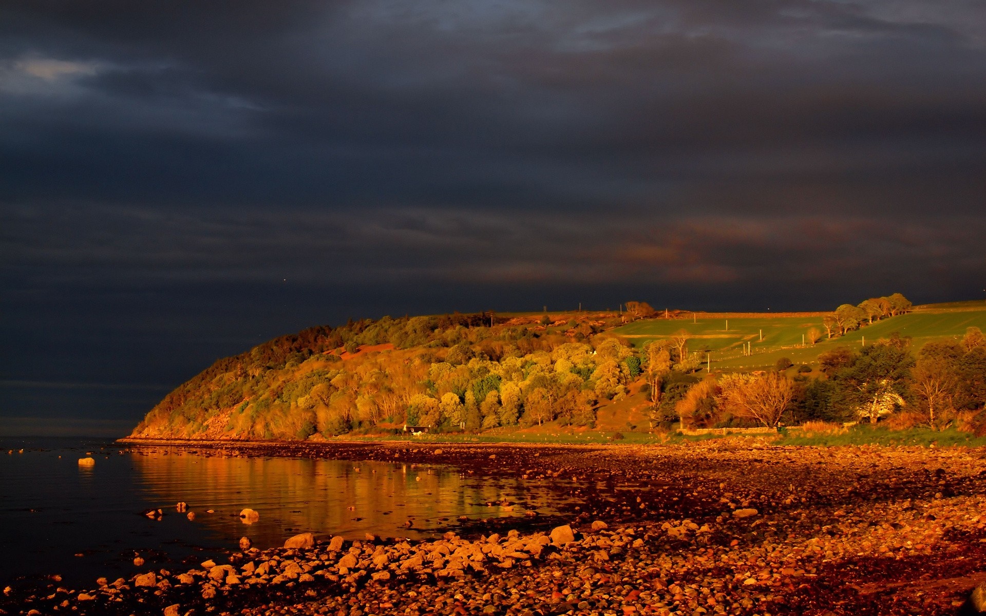 Hillside with trees and sea at sunset HD Wallpaper
