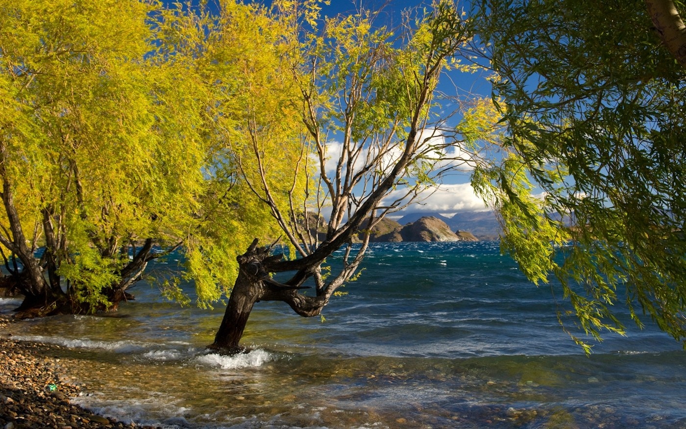 Autumn trees by a windy lake with mountains HD Wallpaper
