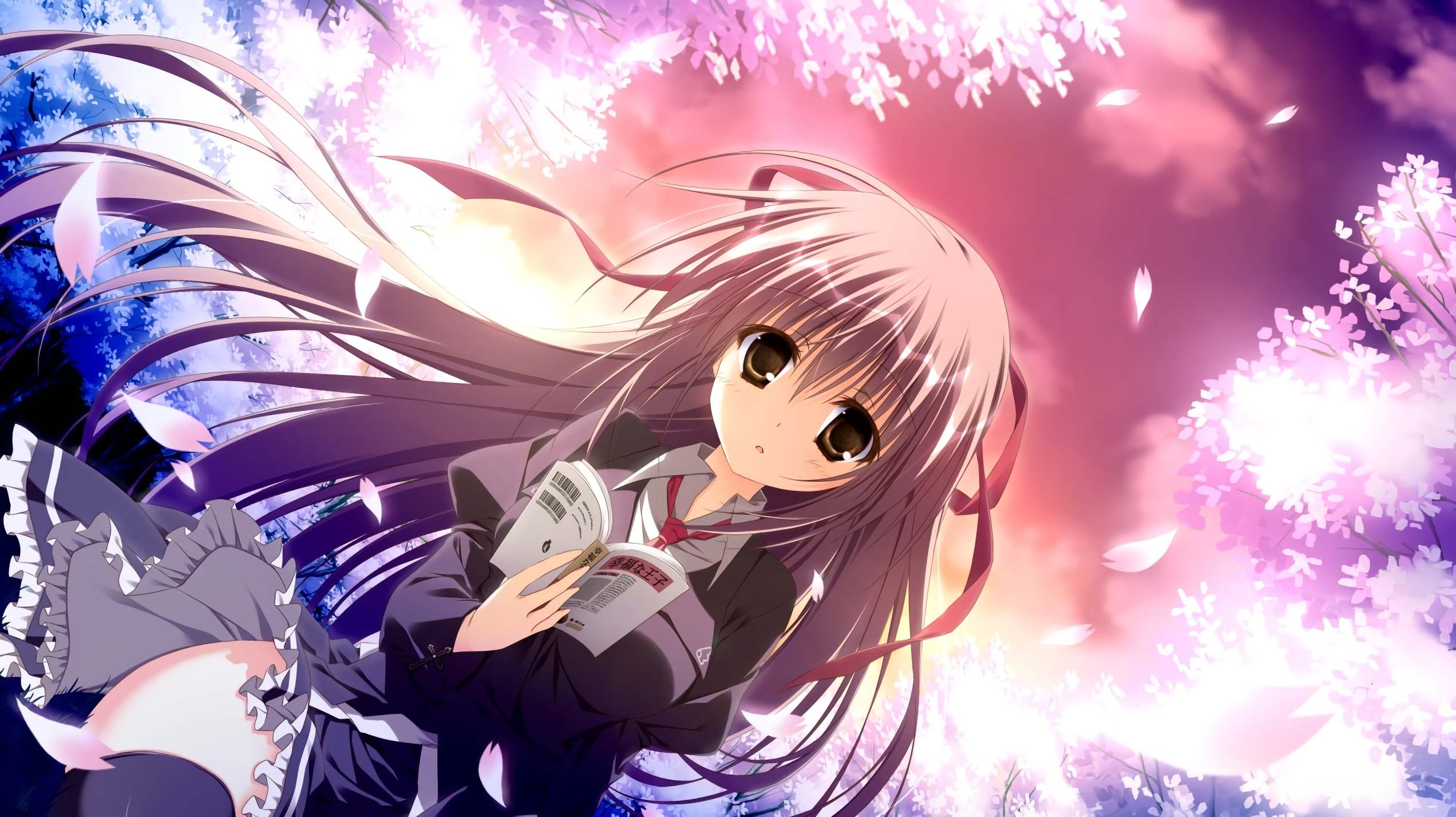 Misakura Rin from Sakura no Uta reading a book HD Wallpaper