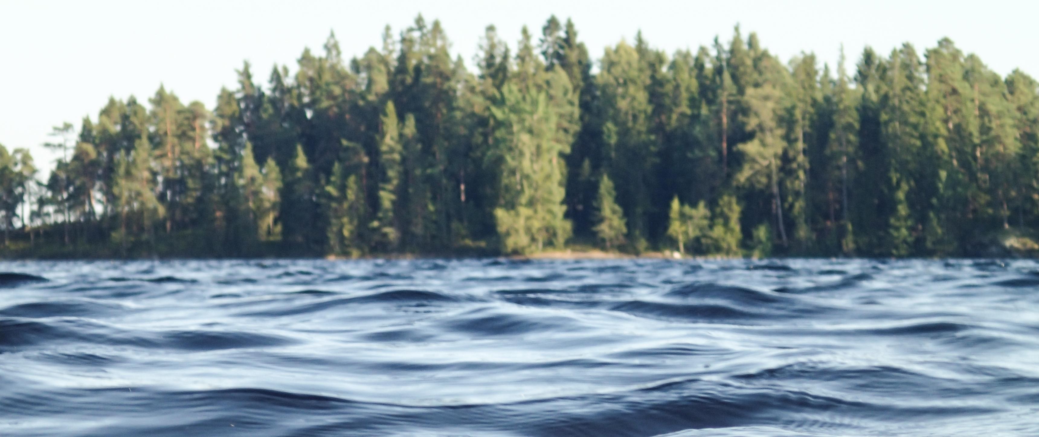 Waves on a lake with a forest in the background HD Wallpaper