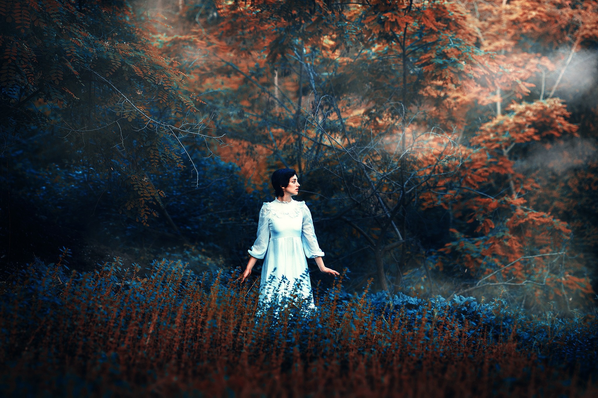 Woman in a light blue dress in a dark forest HD Wallpaper