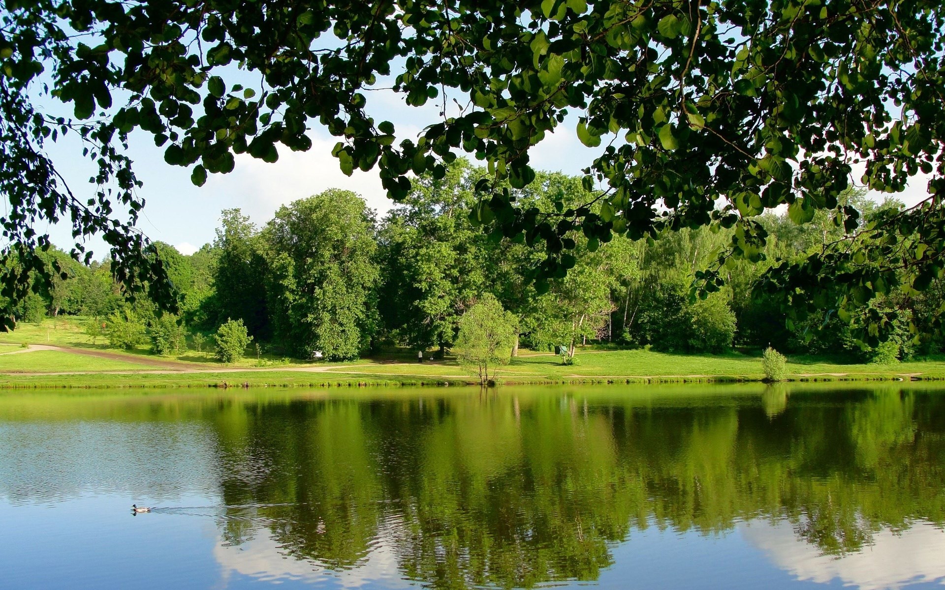 Lake reflection with trees and sky HD Wallpaper