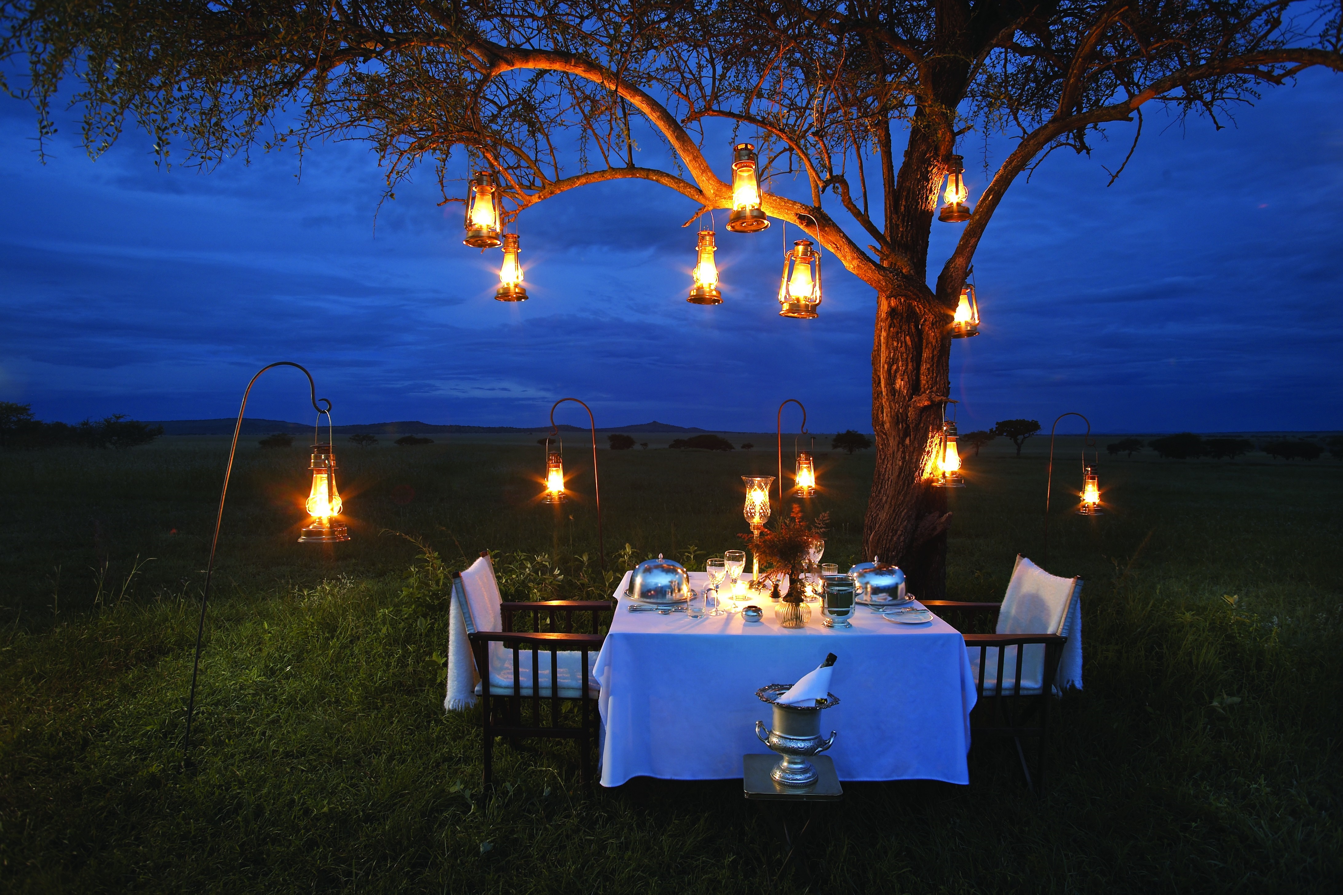 Outdoor dining table set under a tree with lanterns at dusk HD Wallpaper
