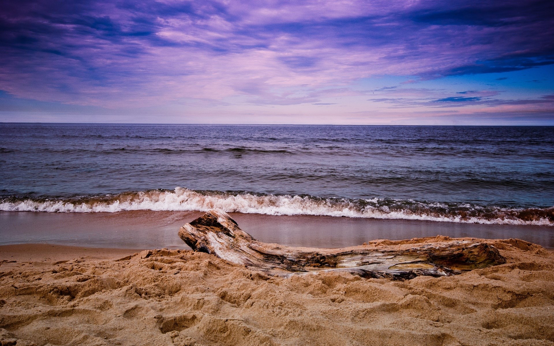 Driftwood on a sandy beach at sunset HD Wallpaper