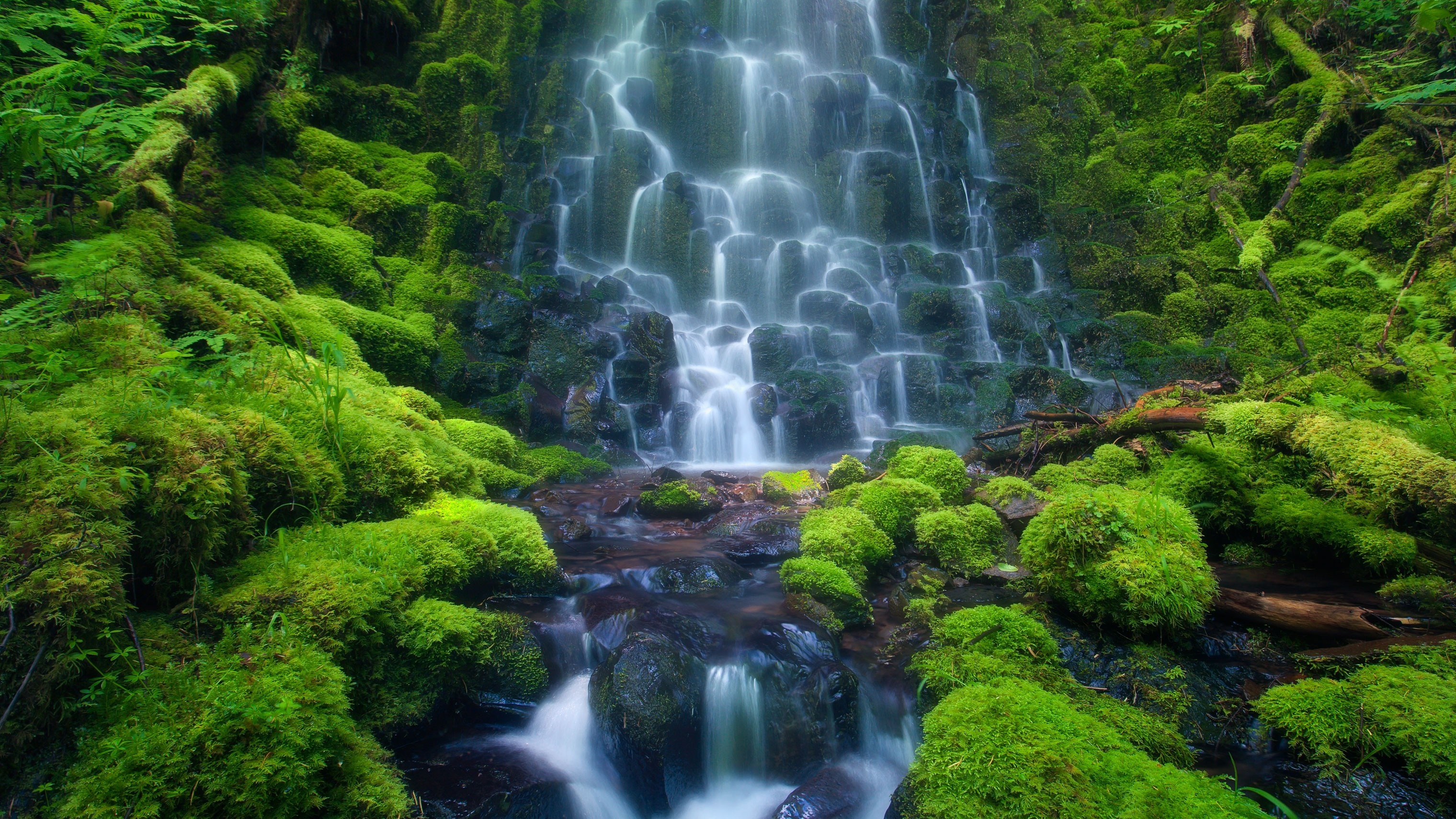 Moss-covered rocks and a cascading waterfall in a forest HD Wallpaper