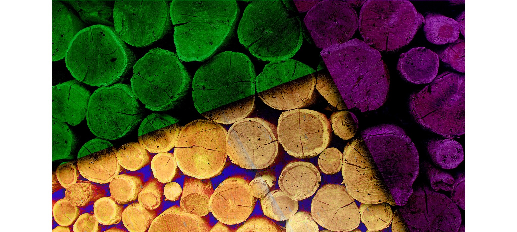 Rainbow colored wood logs pattern HD Wallpaper