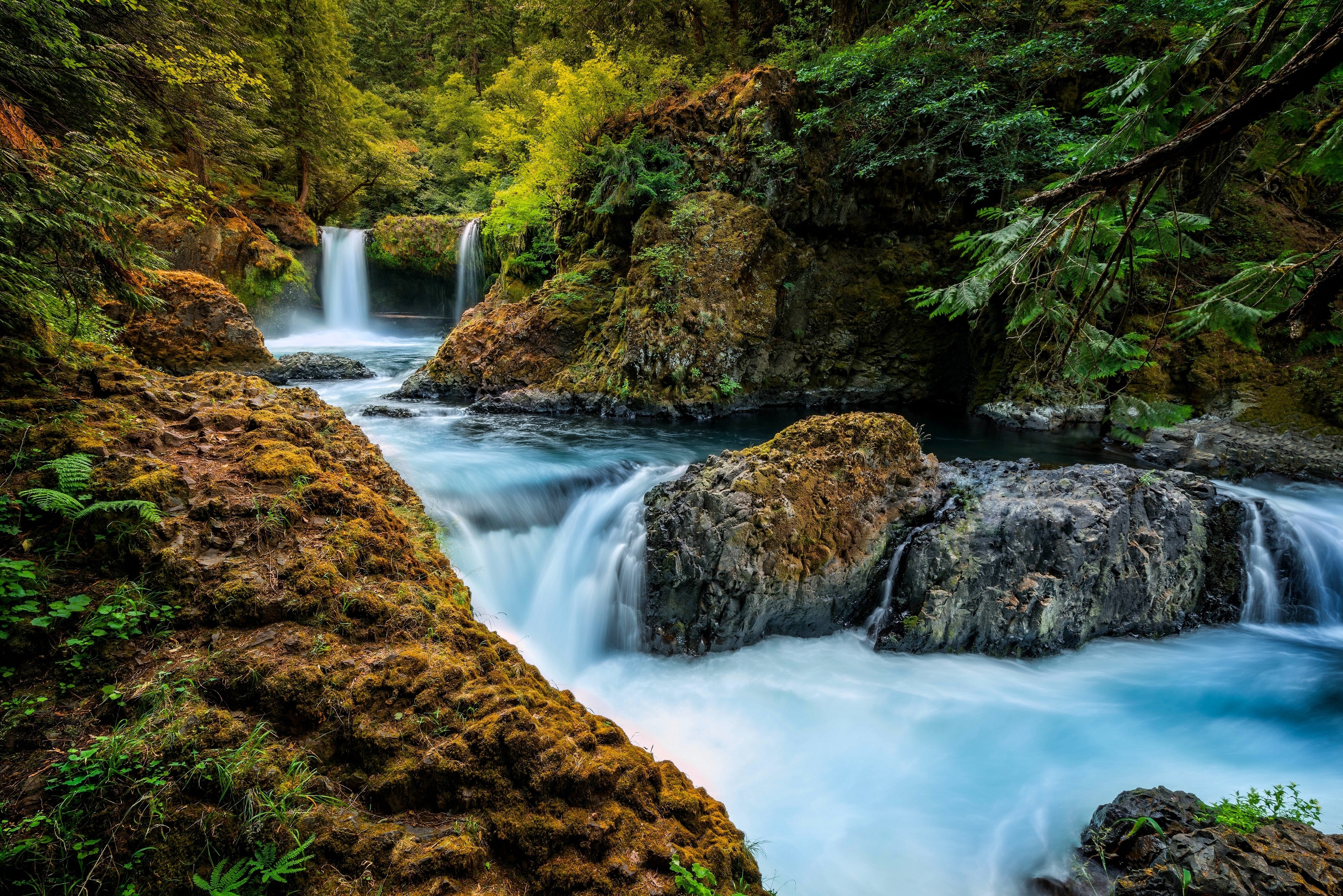 Waterfall in a lush green forest with mossy rocks HD Wallpaper