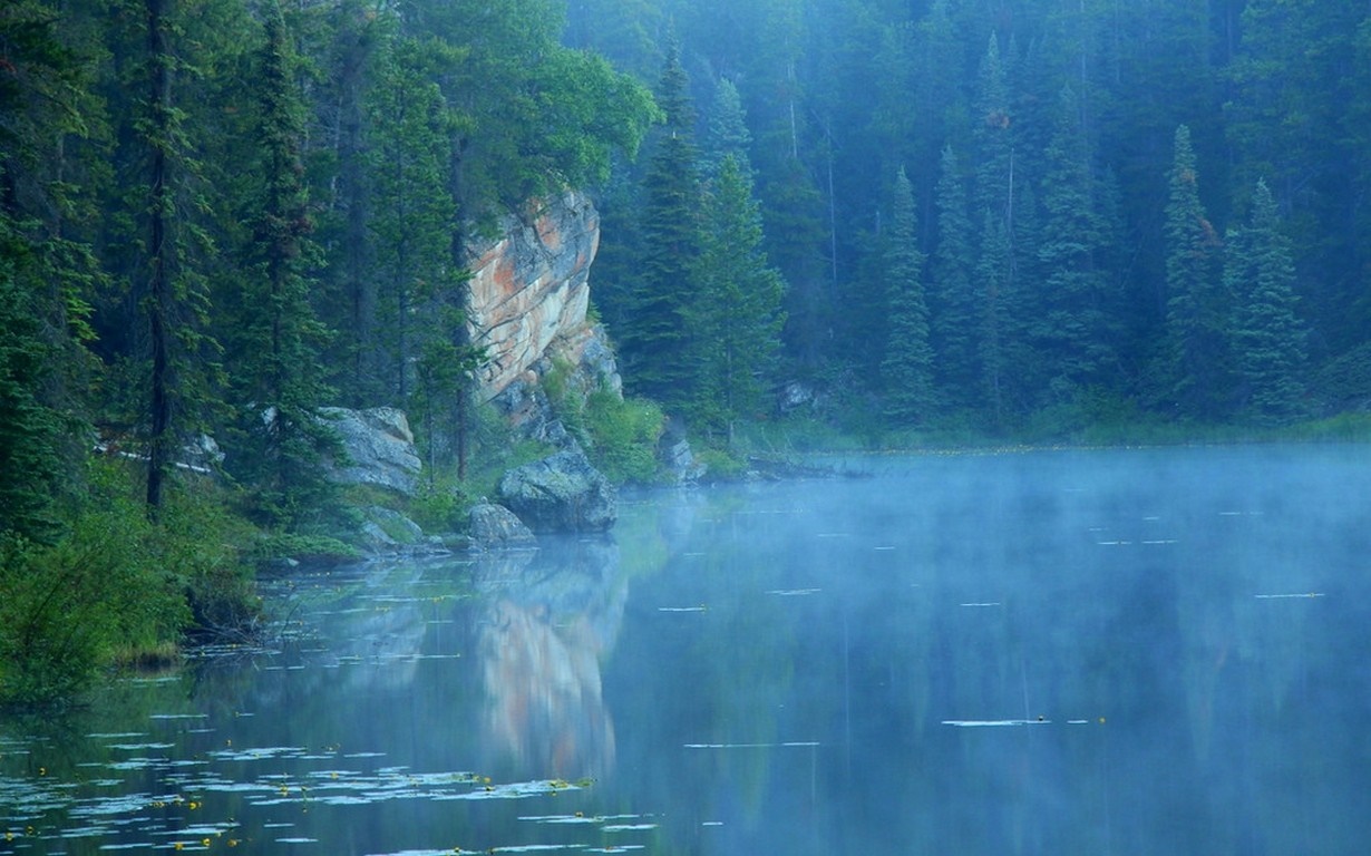 Misty lake with rocky cliff and pine forest HD Wallpaper