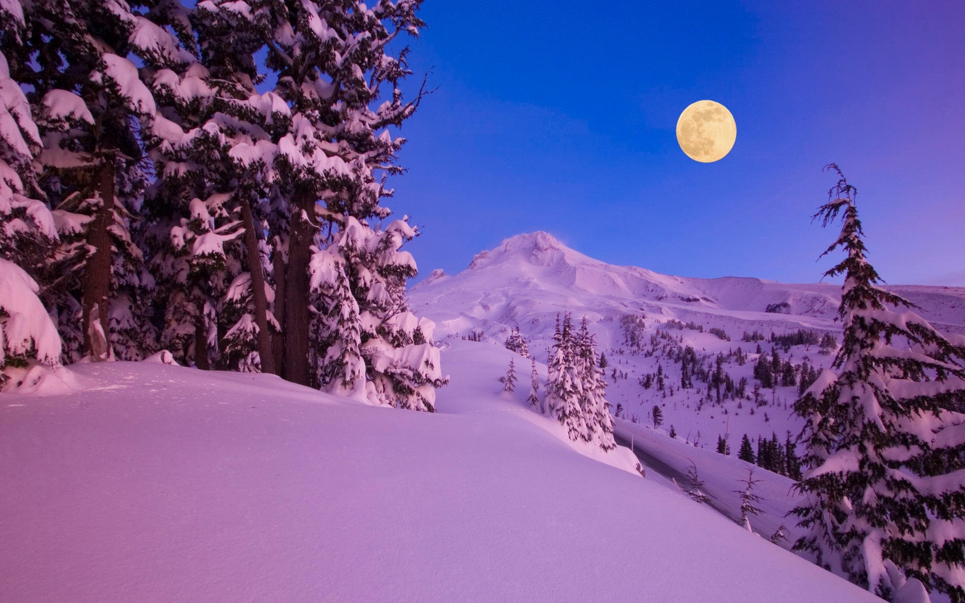 Snowy mountain landscape with moon and trees HD Wallpaper