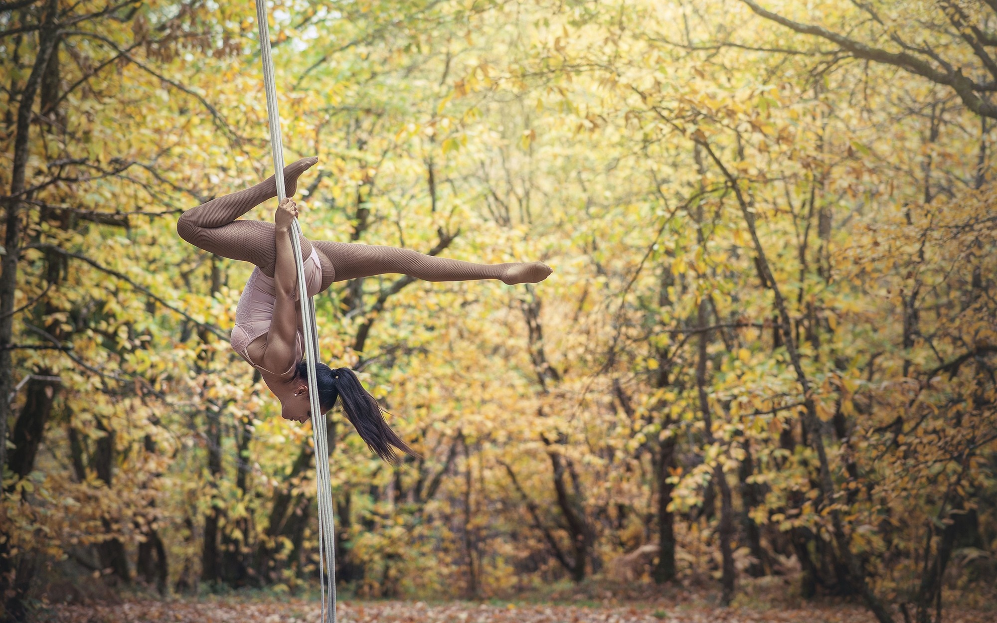 Woman Performing Pole Gymnastics in Autumn Forest HD Wallpaper