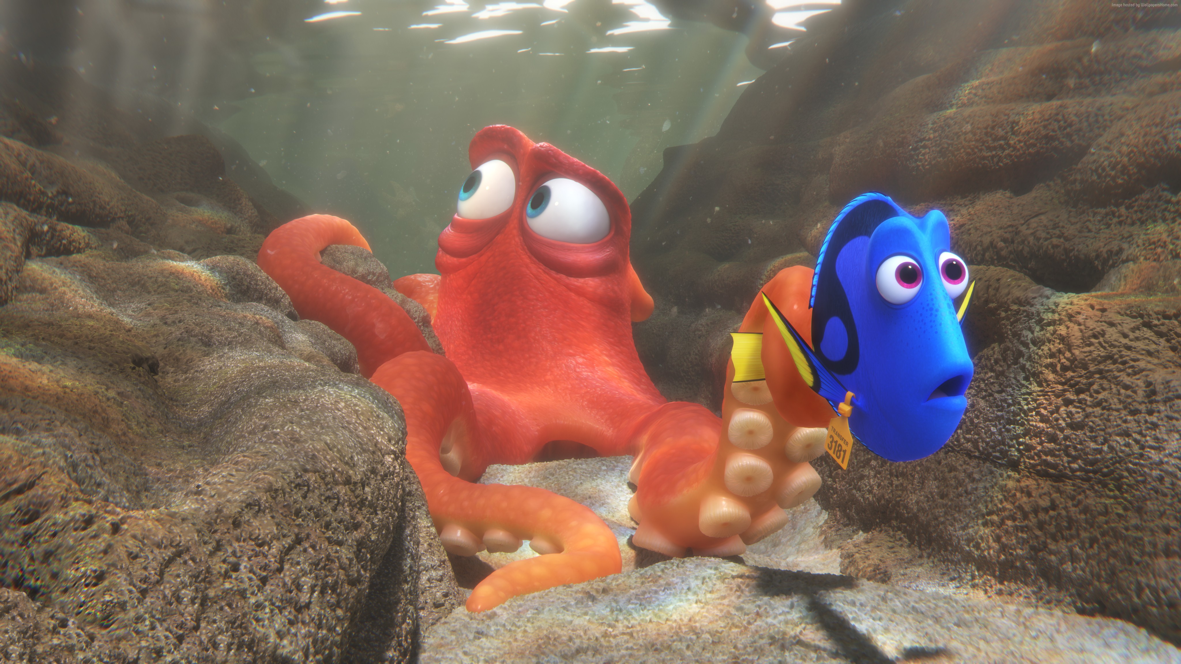 Hank and Dory from Finding Dory HD Wallpaper