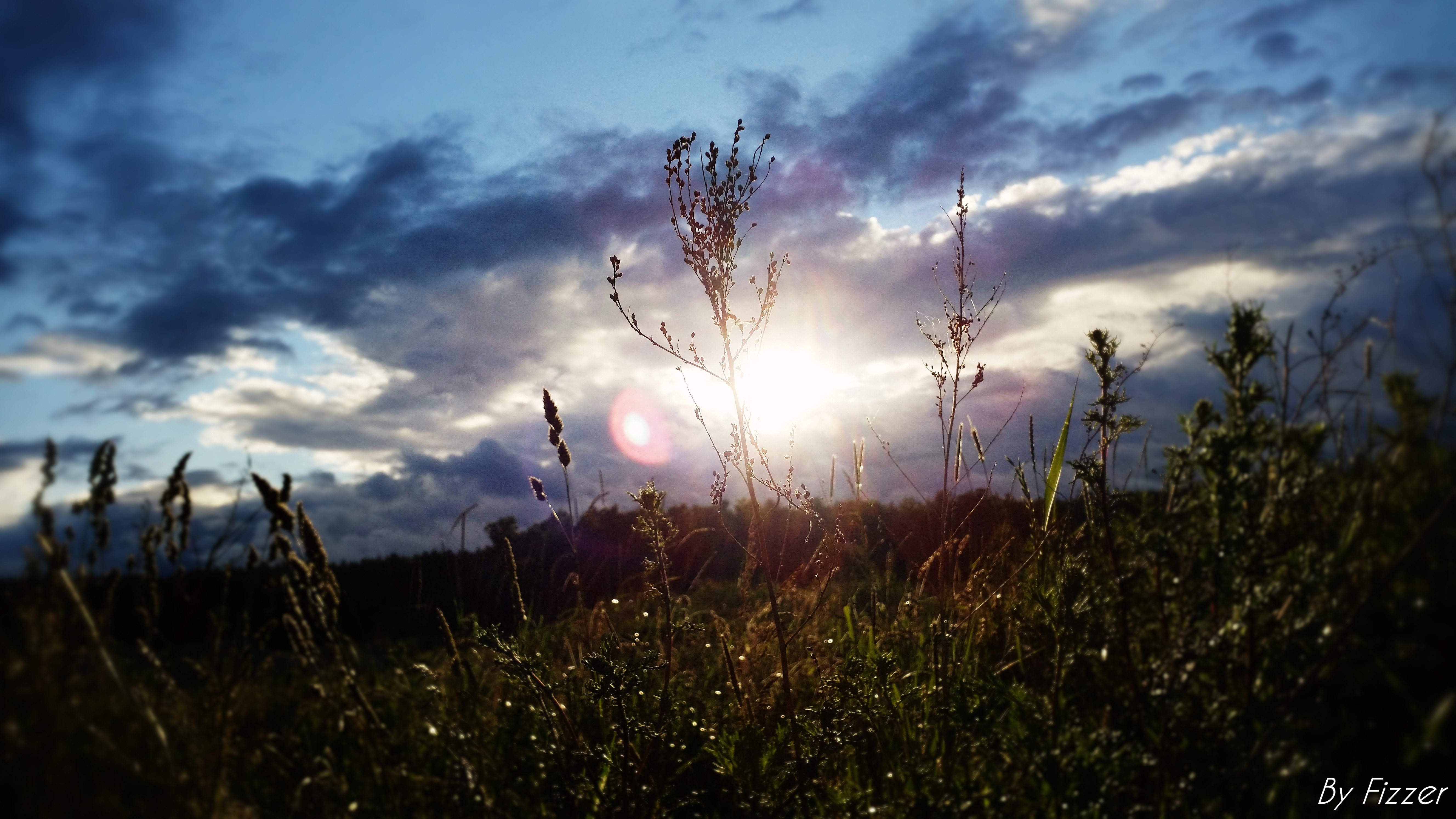 Sunset over a grassy field with dramatic clouds HD Wallpaper