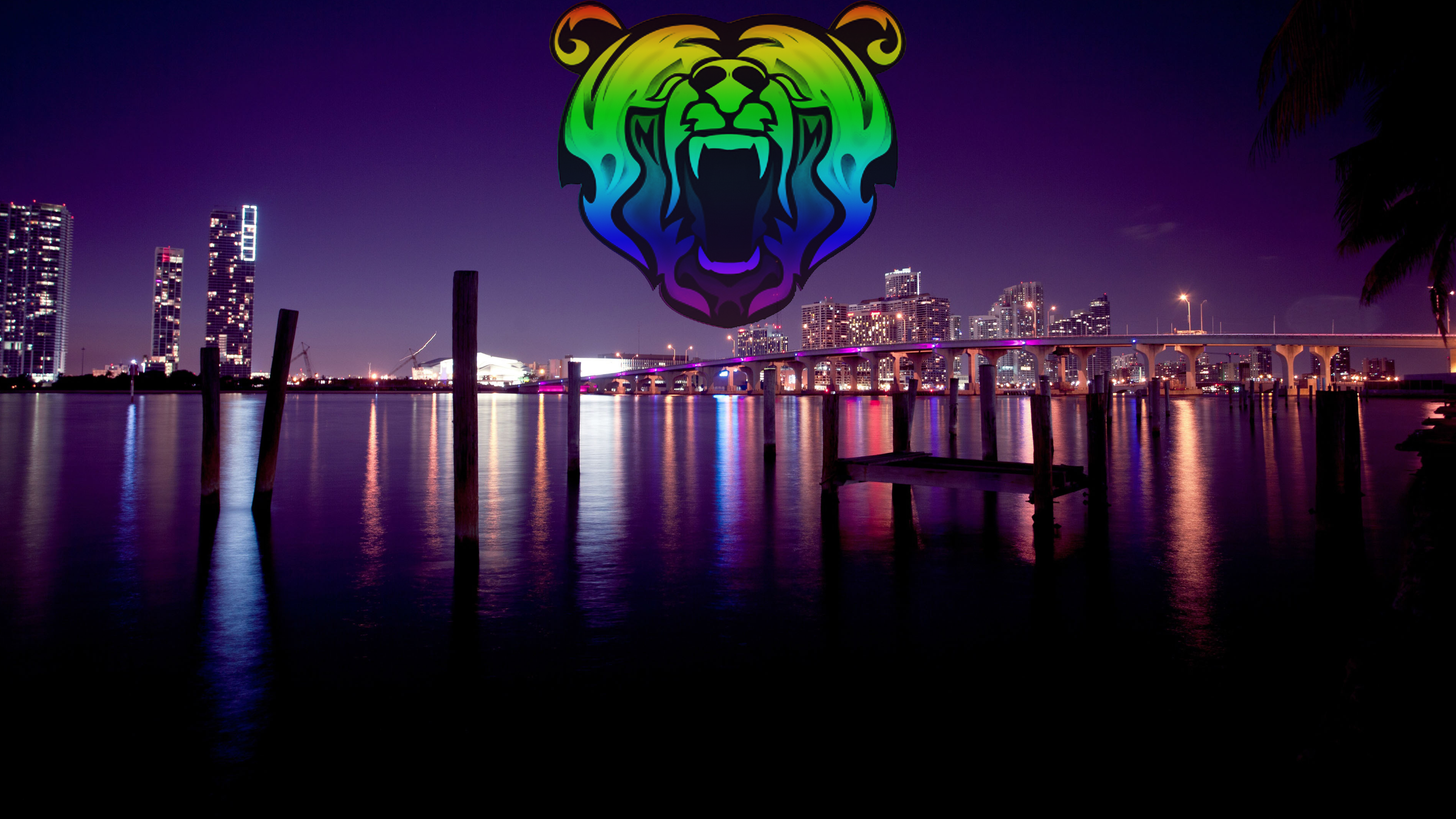 Rainbow Bear Logo Over Miami Skyline at Night HD Wallpaper