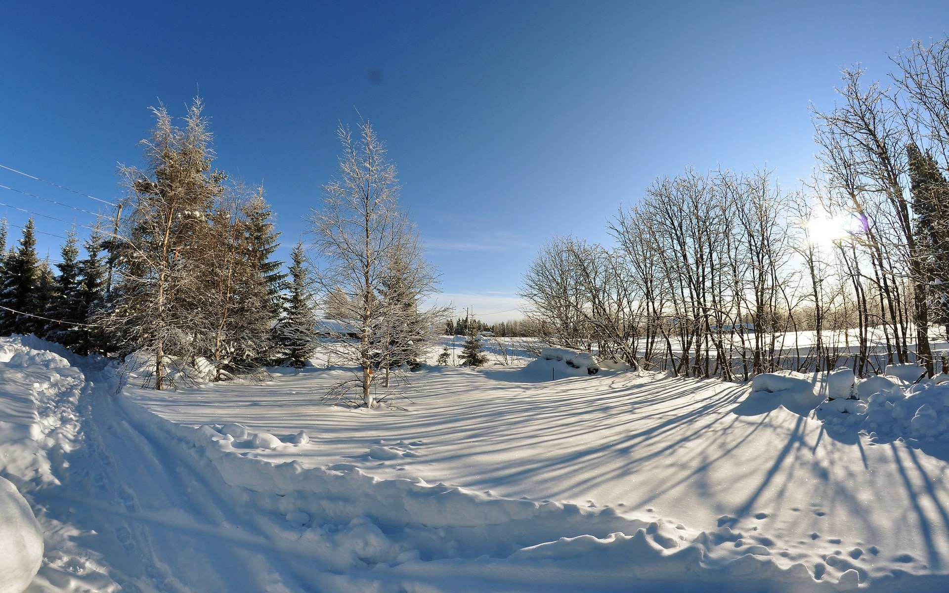 Snowy landscape with trees and a clear blue sky HD Wallpaper