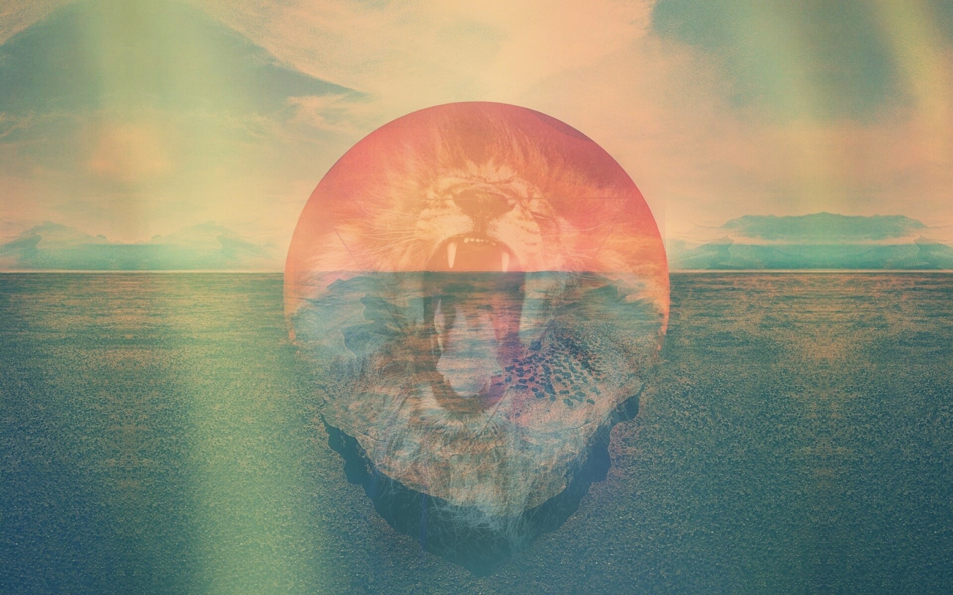 Lion face reflected in water at sunrise over the sea HD Wallpaper