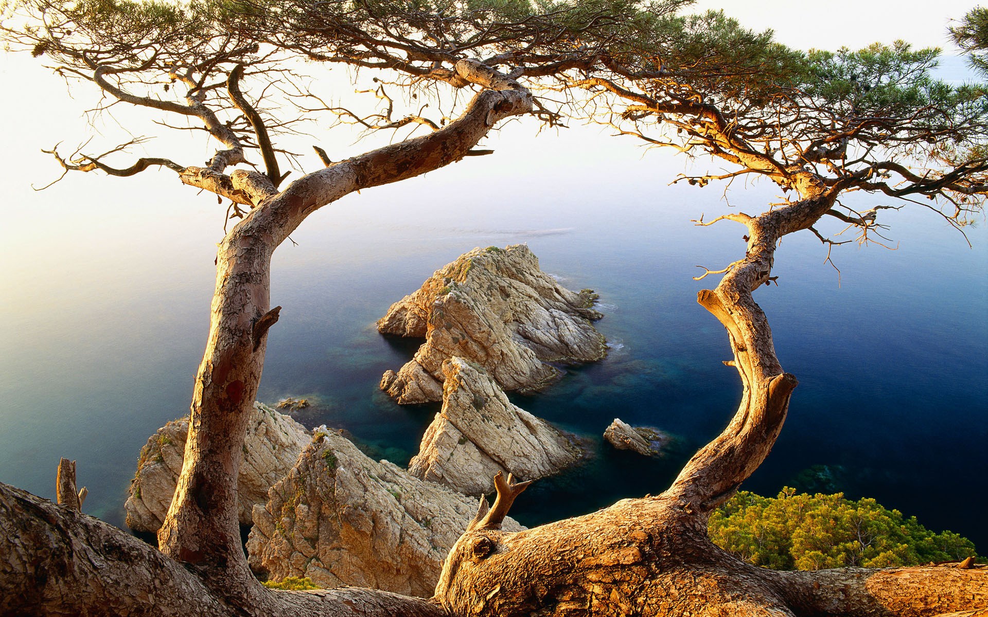Trees framing rocky islands in the ocean HD Wallpaper