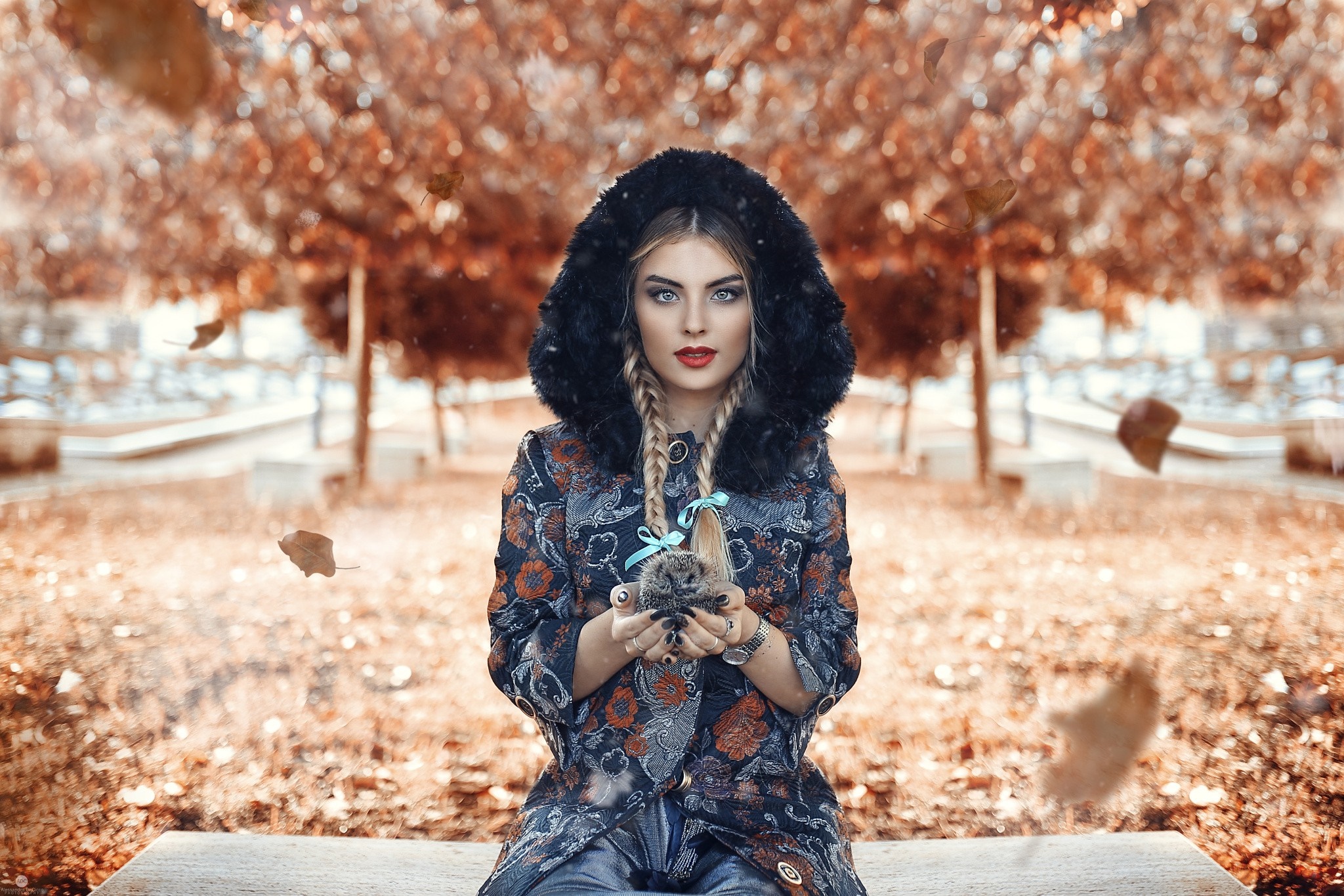 Woman in hooded coat holding a hedgehog in autumn park HD Wallpaper