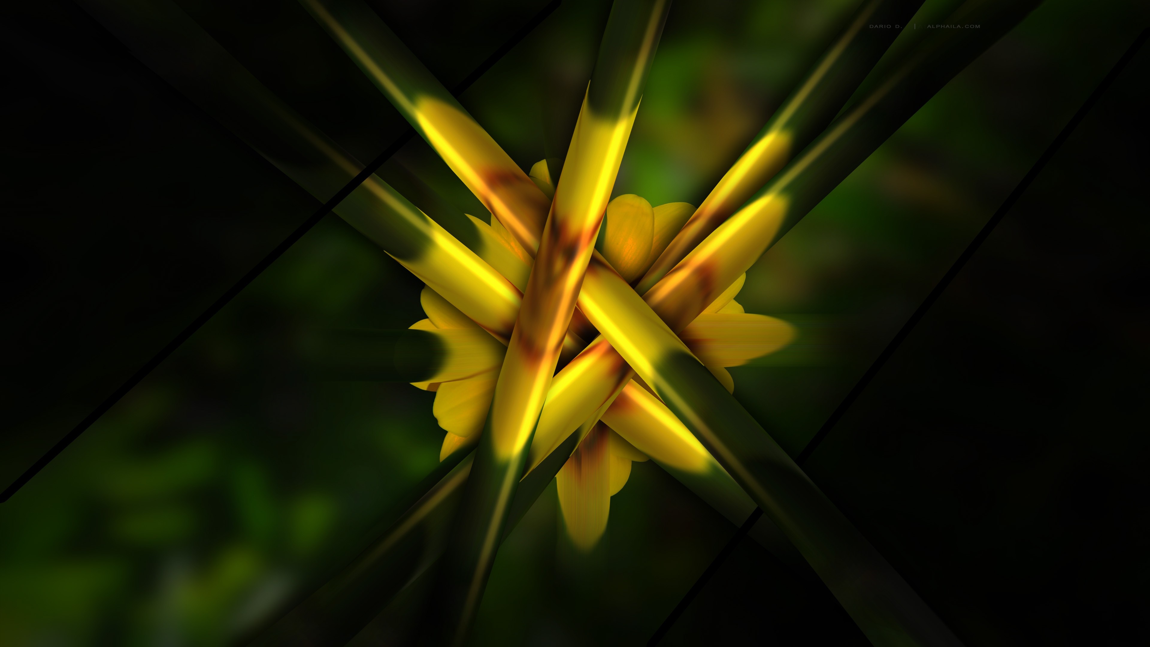 Abstract yellow flower with green leaves and dark background HD Wallpaper
