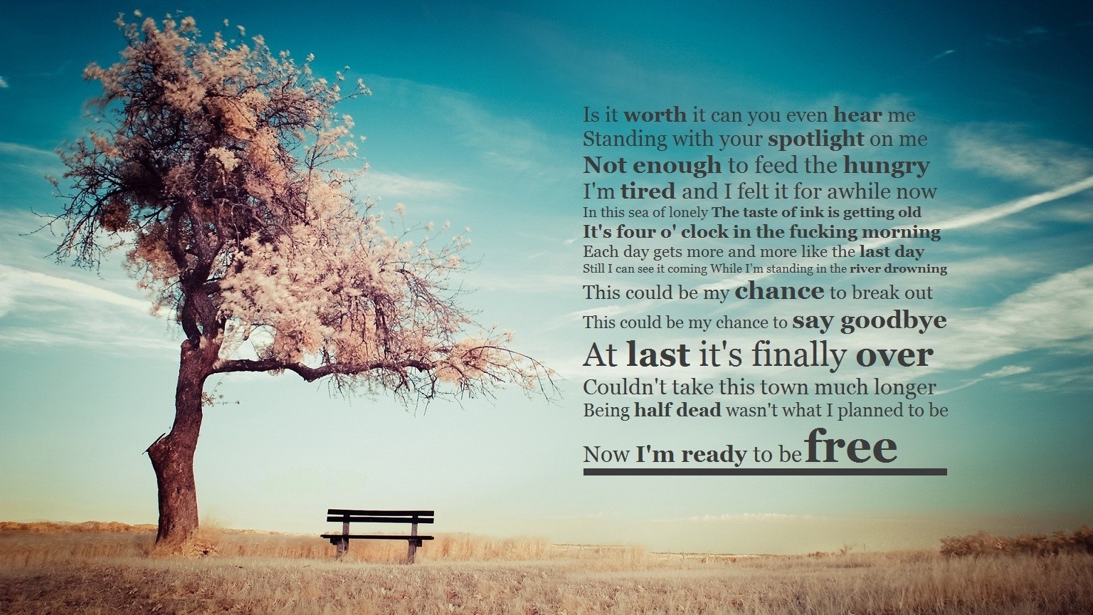 Tree and bench with quote on sky background HD Wallpaper