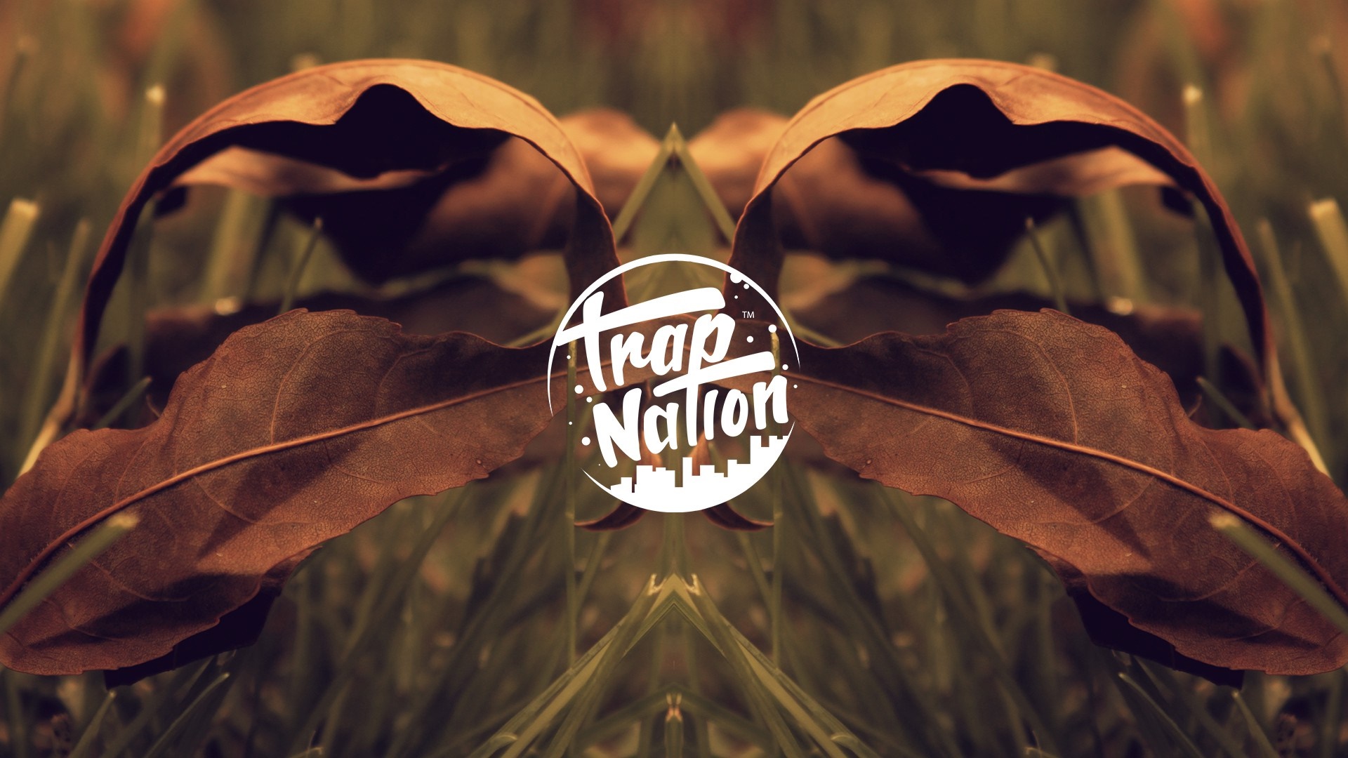 Trap Nation logo over autumn leaves and grass HD Wallpaper