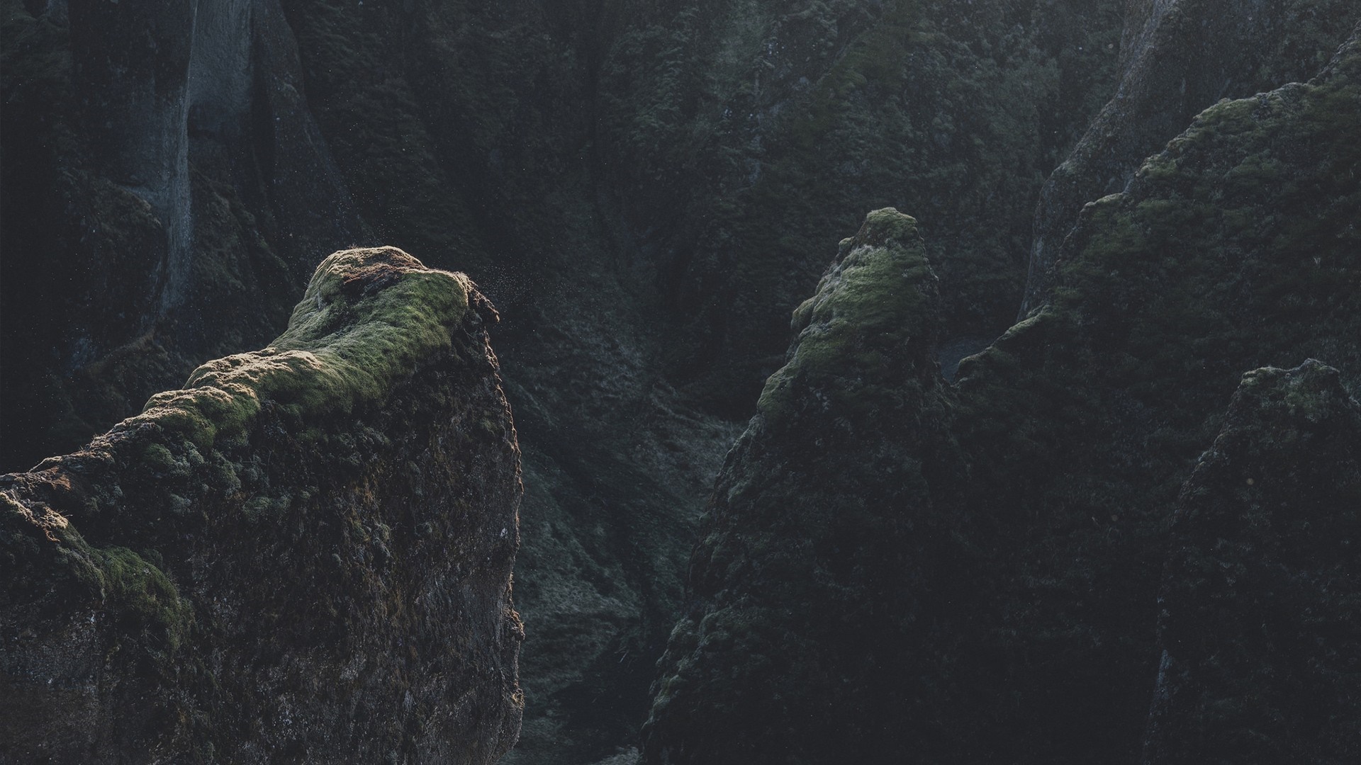 Mossy canyon walls in dim light HD Wallpaper