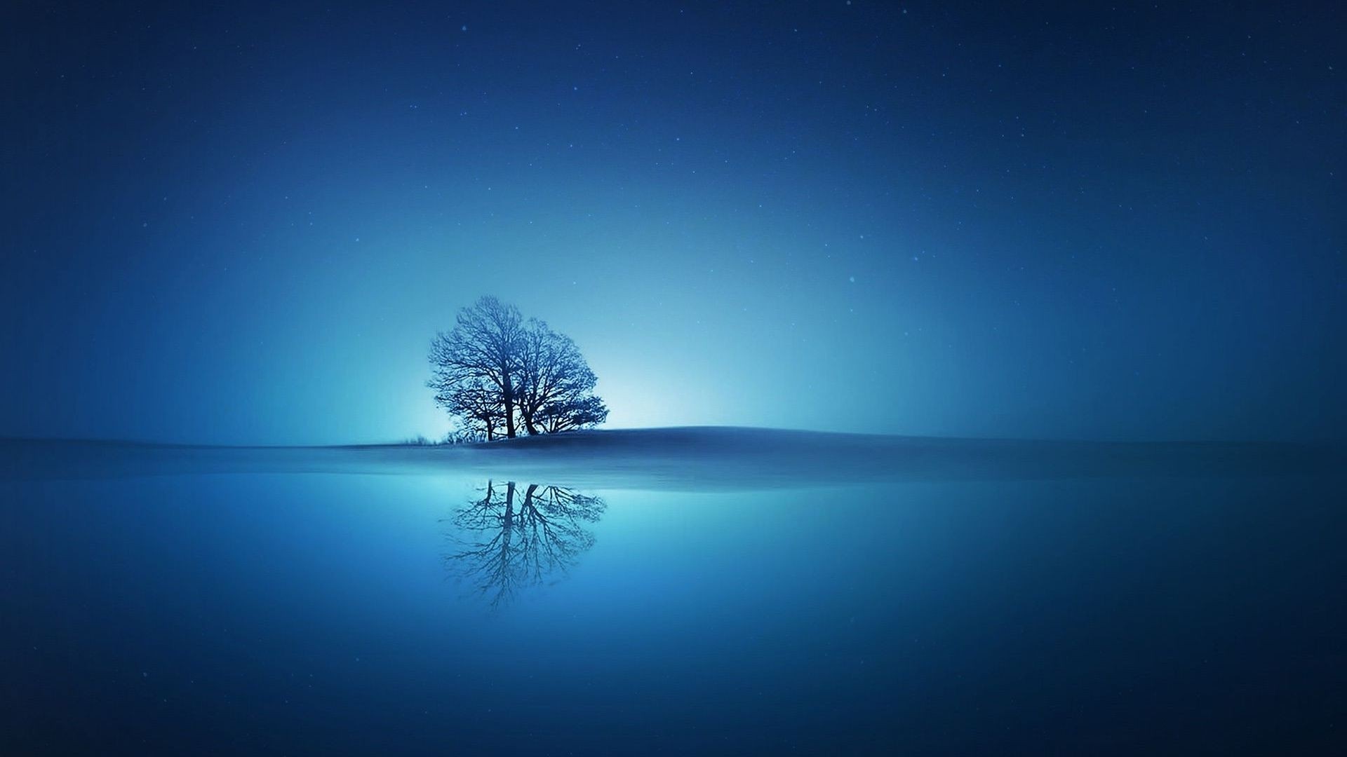 Bare tree reflecting in water under starry night sky HD Wallpaper