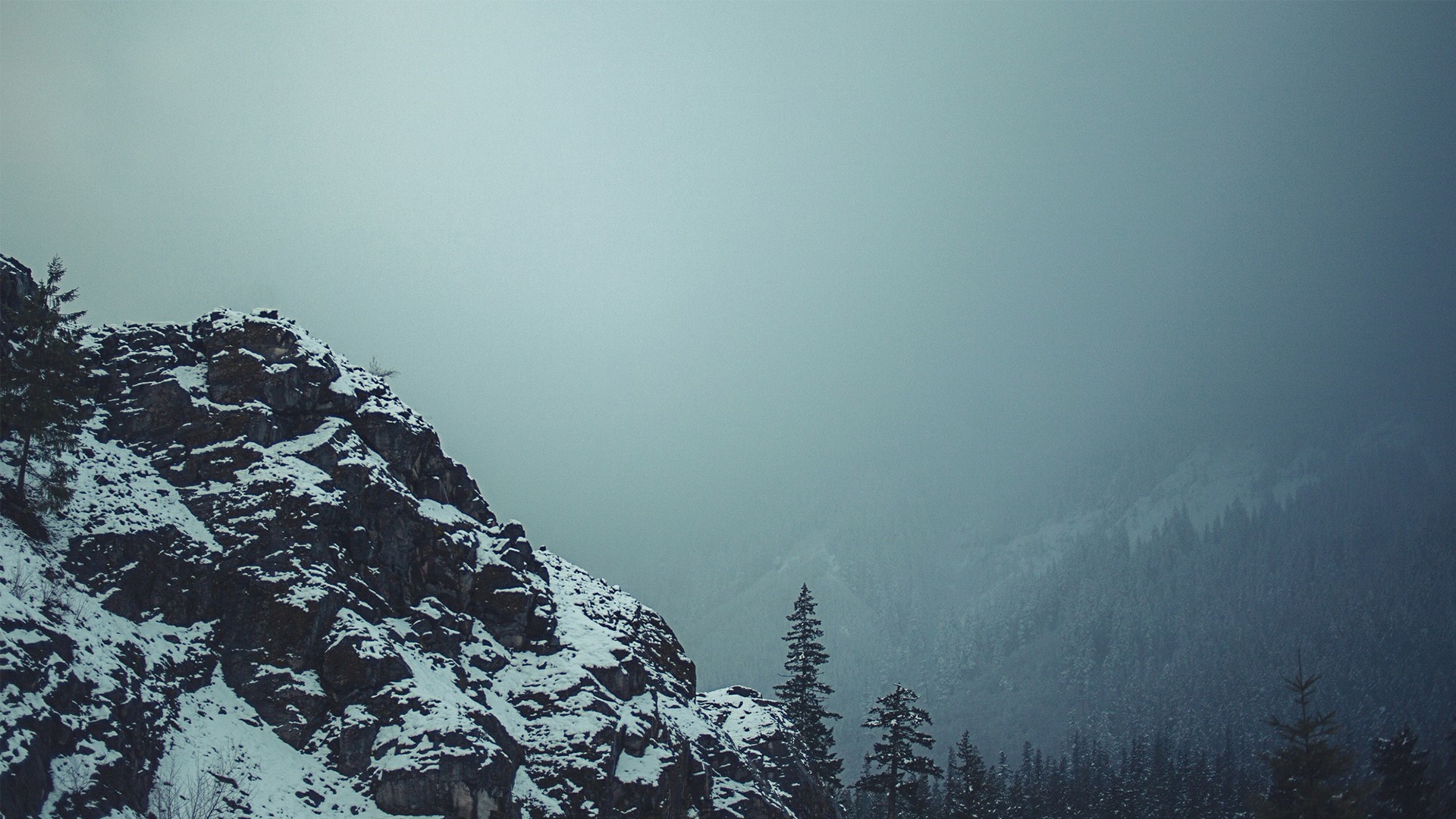 Snow-covered rocky mountain peak with pine trees in fog HD Wallpaper