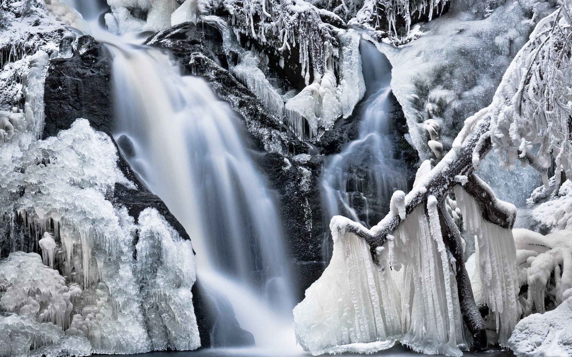 Frozen waterfall with icicles and snow-covered branches HD Wallpaper