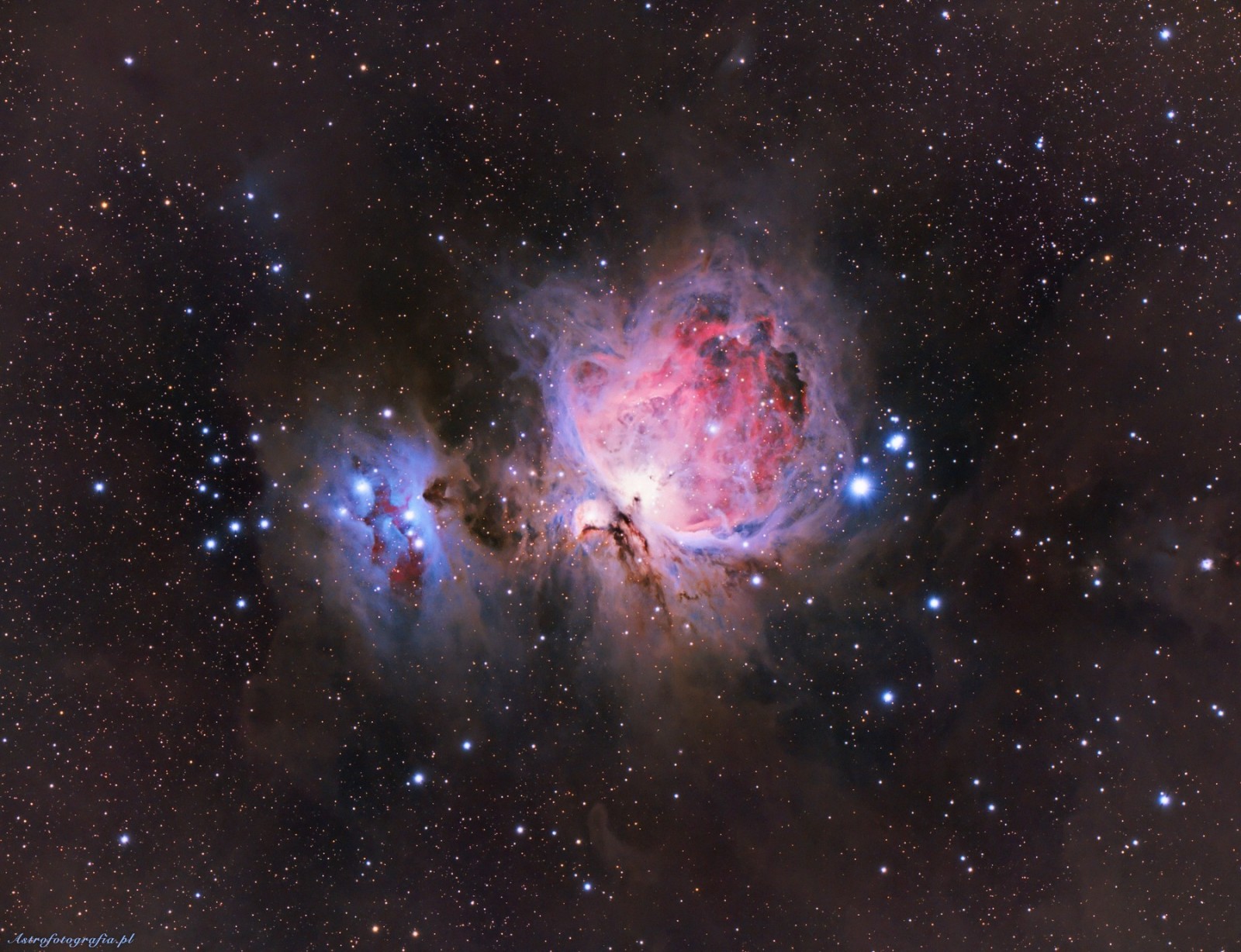 The Orion Nebula and surrounding stars HD Wallpaper