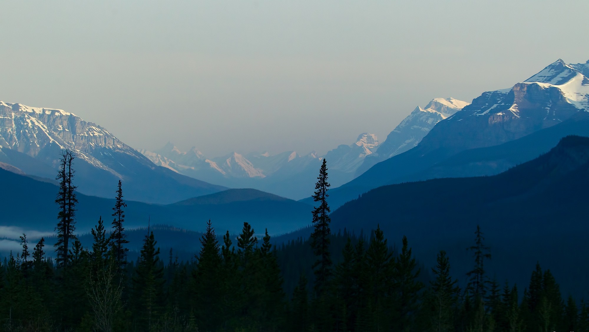 Snow-capped mountains and pine trees in a misty valley HD Wallpaper