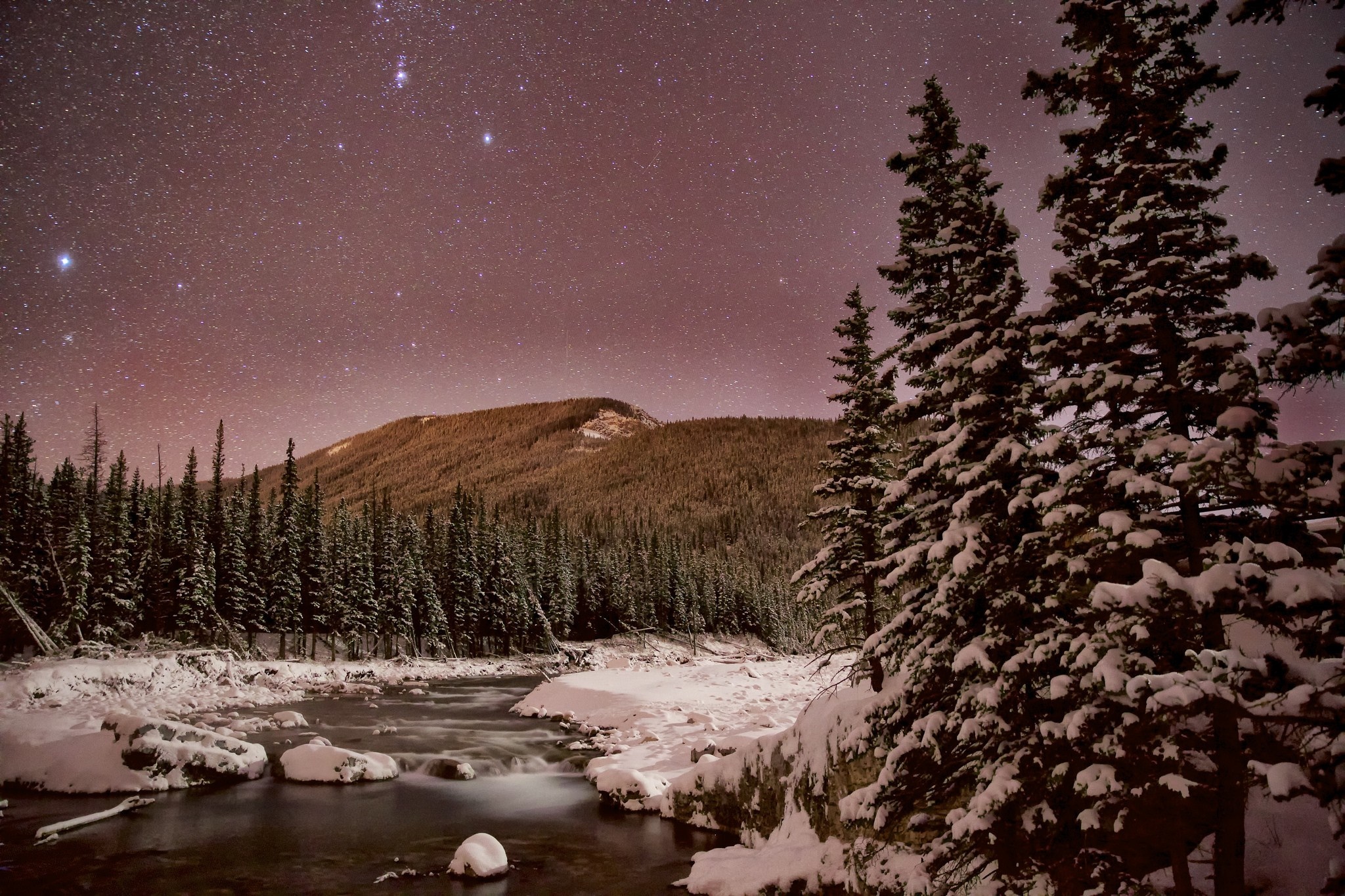 Snowy forest and river under a starry night sky HD Wallpaper