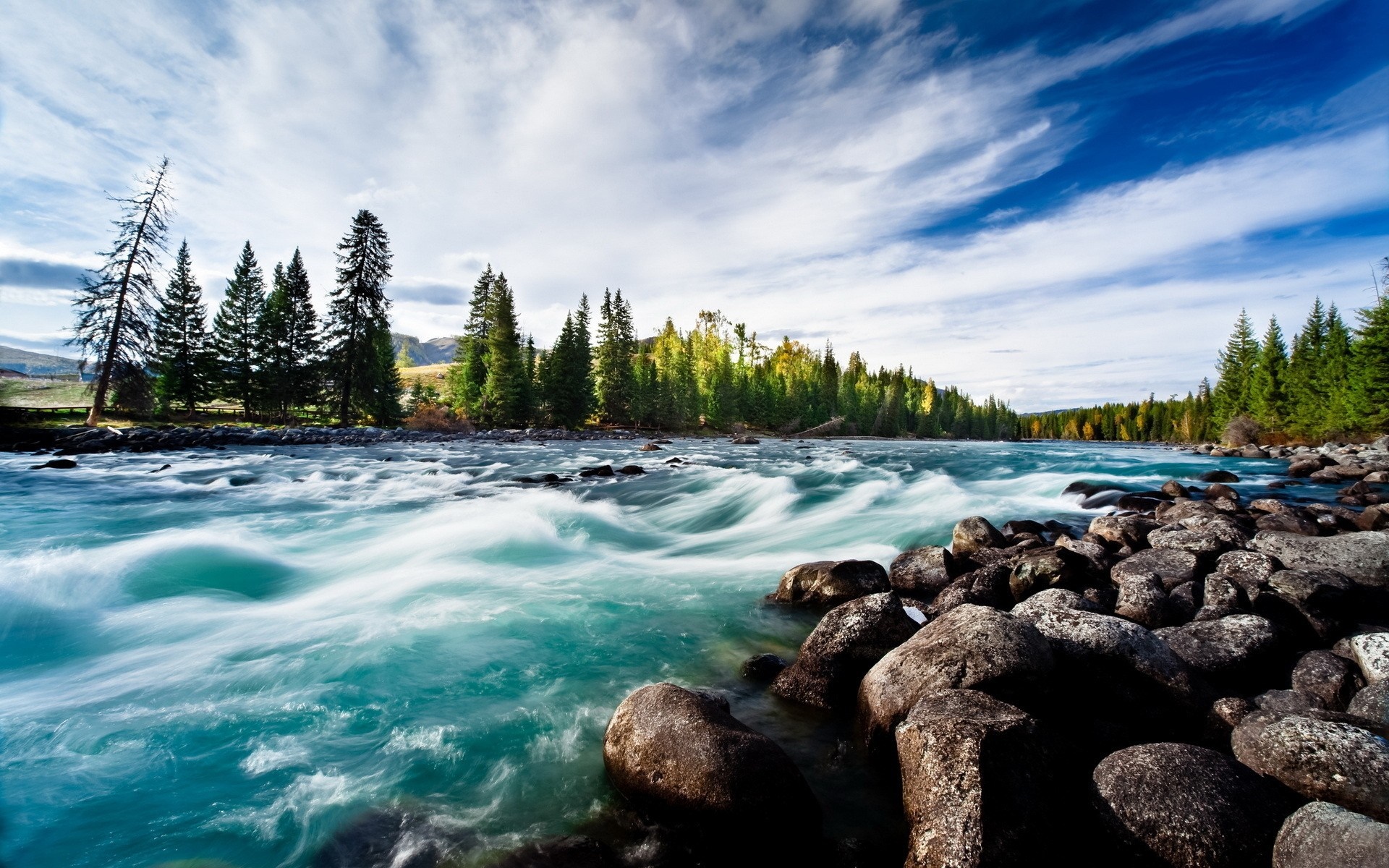 Fast flowing river with rocky shore and pine forest HD Wallpaper