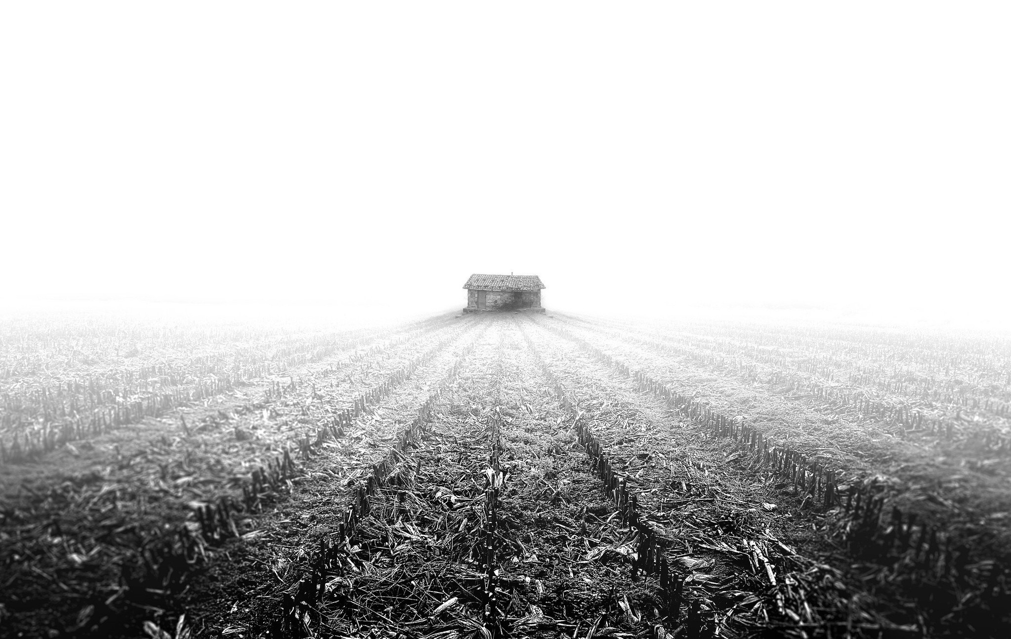 Monochrome landscape with a house in a foggy field HD Wallpaper