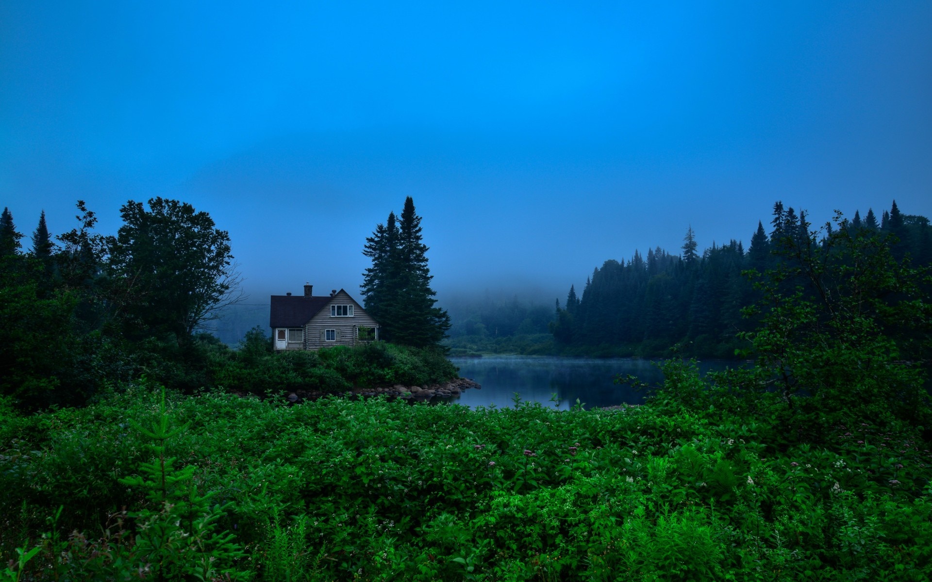 House by a misty lake in a forest HD Wallpaper