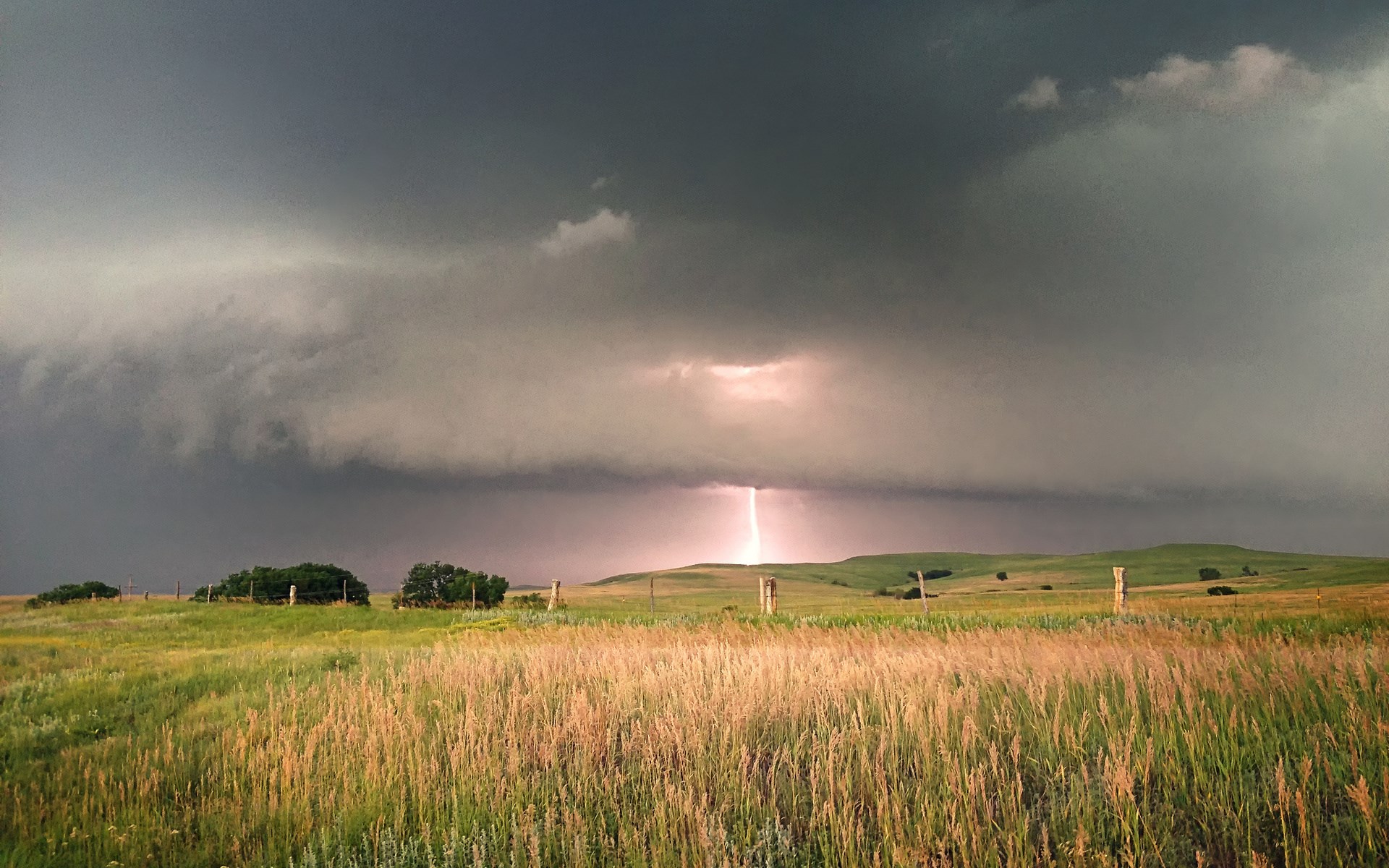 Lightning strike over a grassy field HD Wallpaper
