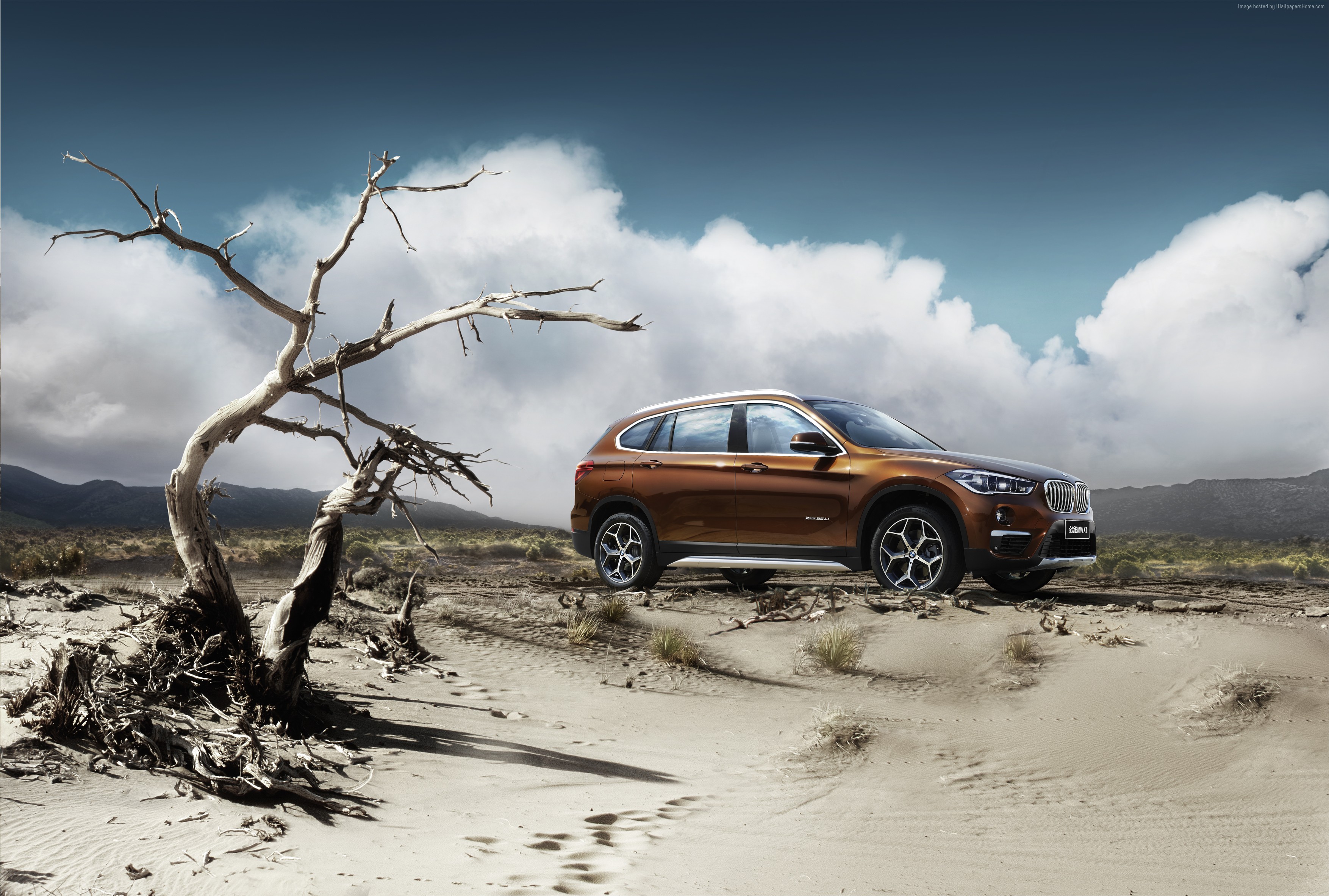 BMW X1 xDrive25i crossover in a desert landscape HD Wallpaper