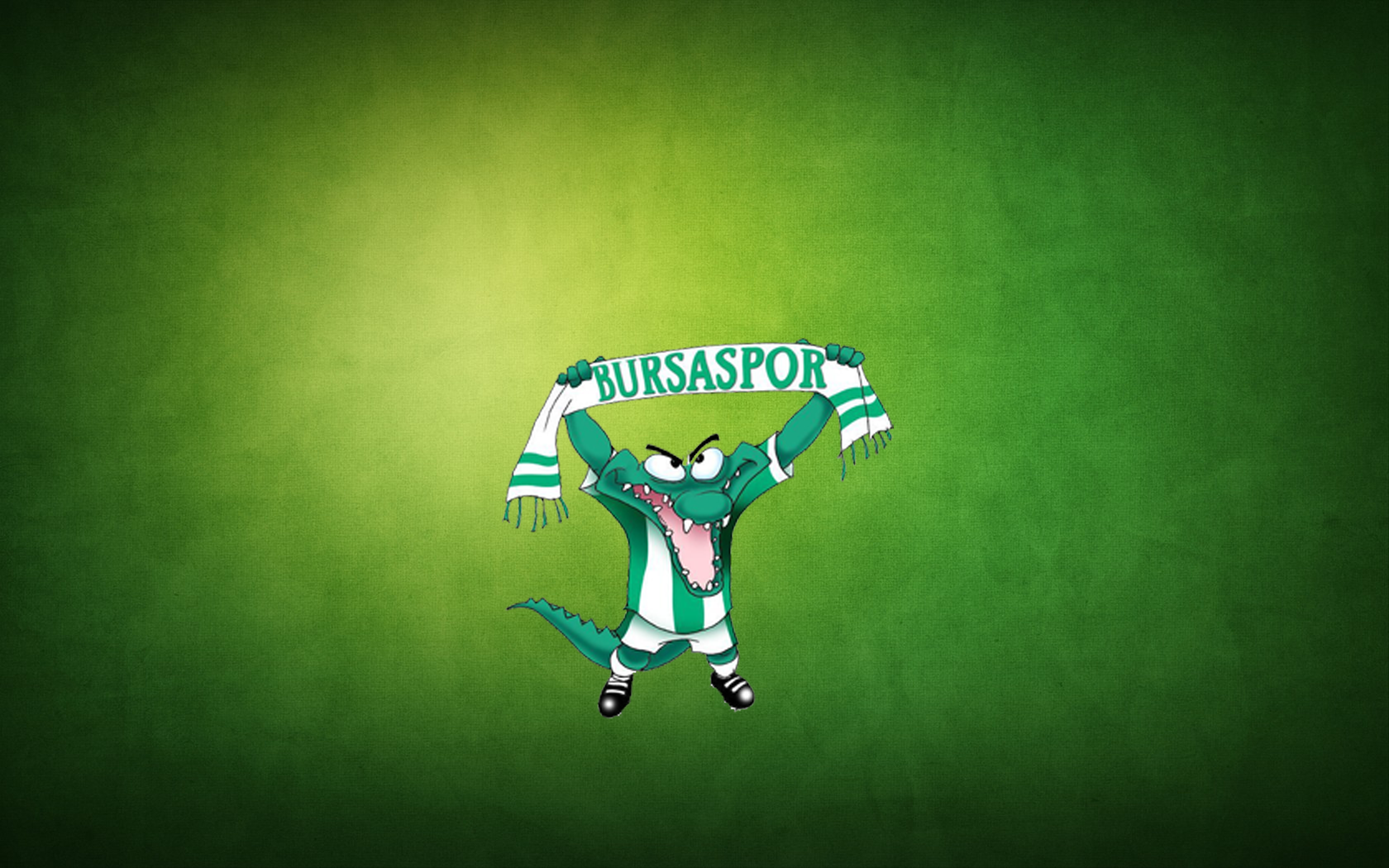 Bursaspor mascot holding a scarf HD Wallpaper