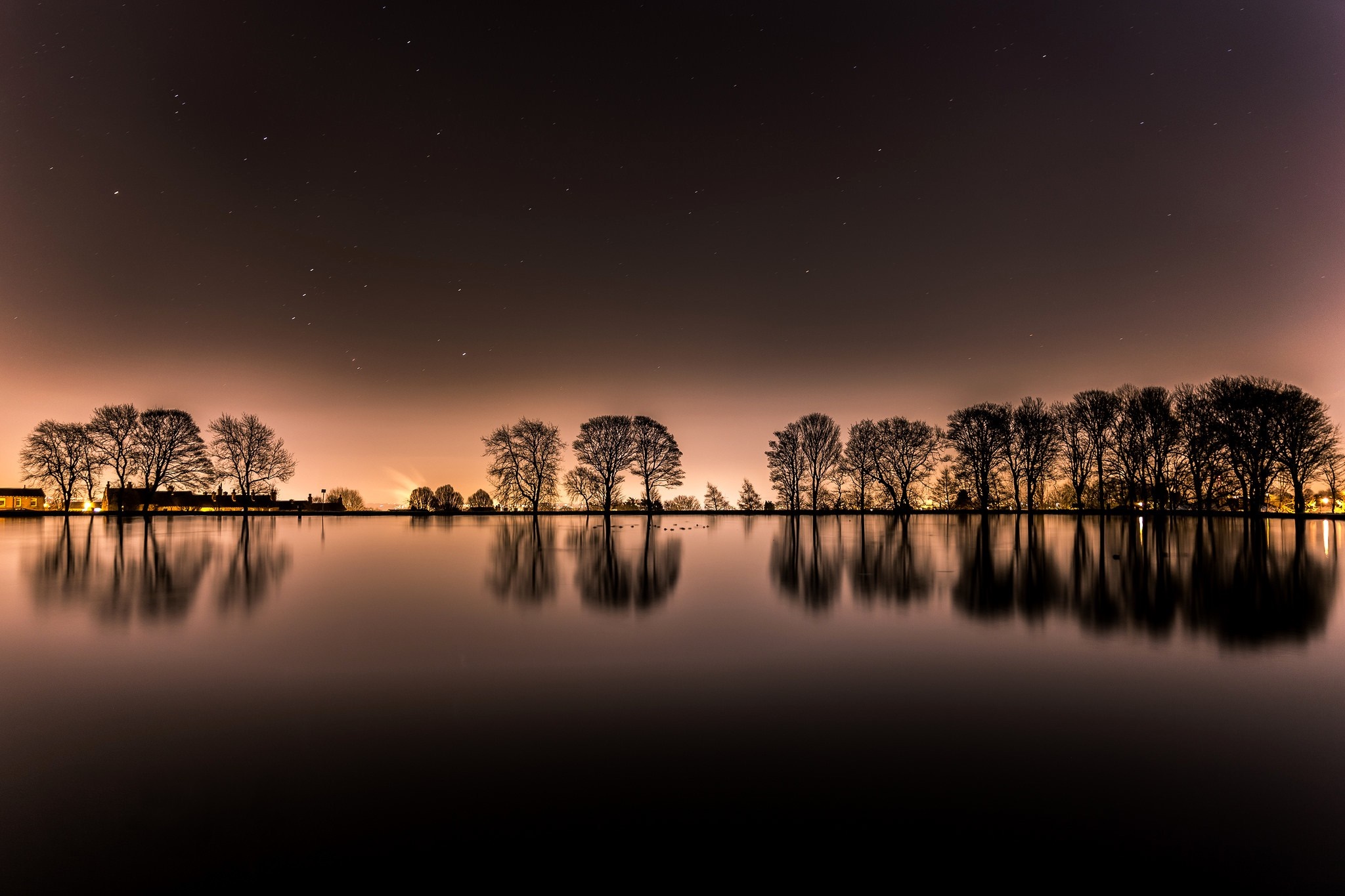 Trees reflected in water at night HD Wallpaper