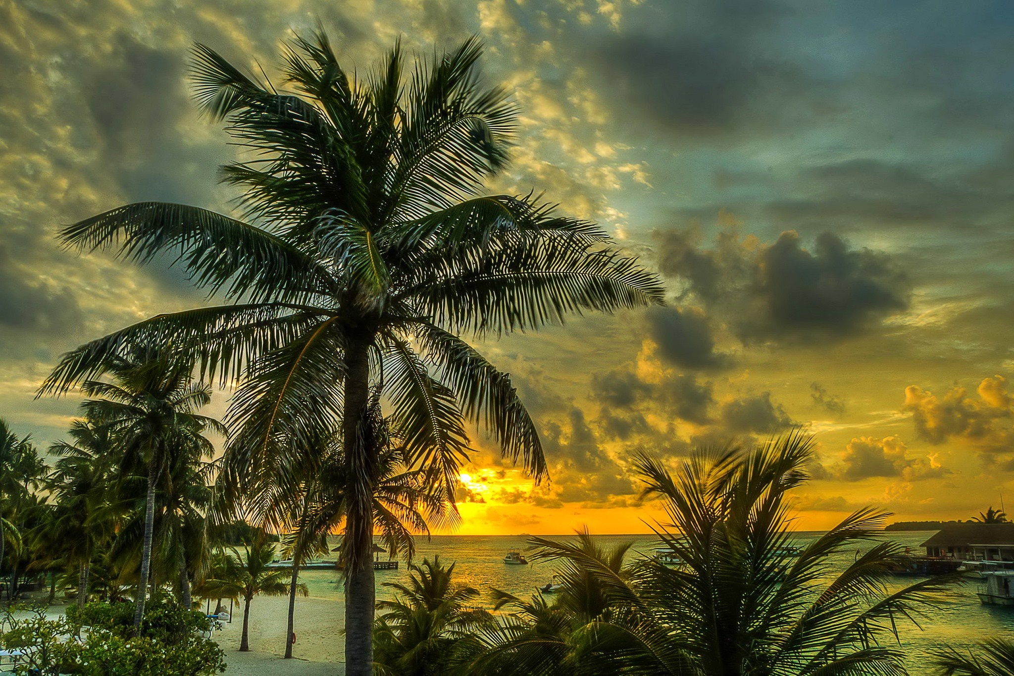 Palm trees at sunset over the ocean in the Maldives HD Wallpaper