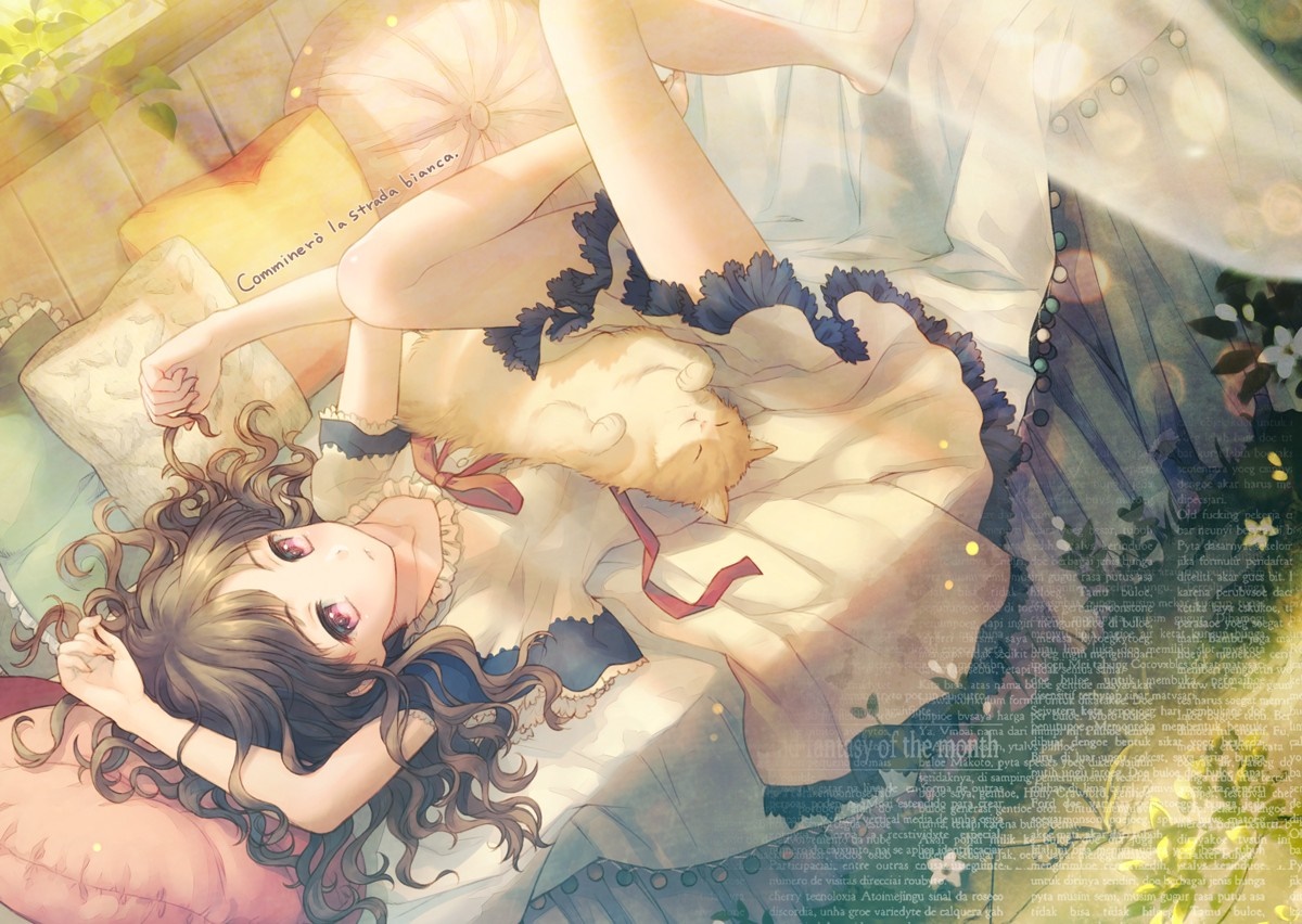 Anime girl with cat on bed HD Wallpaper