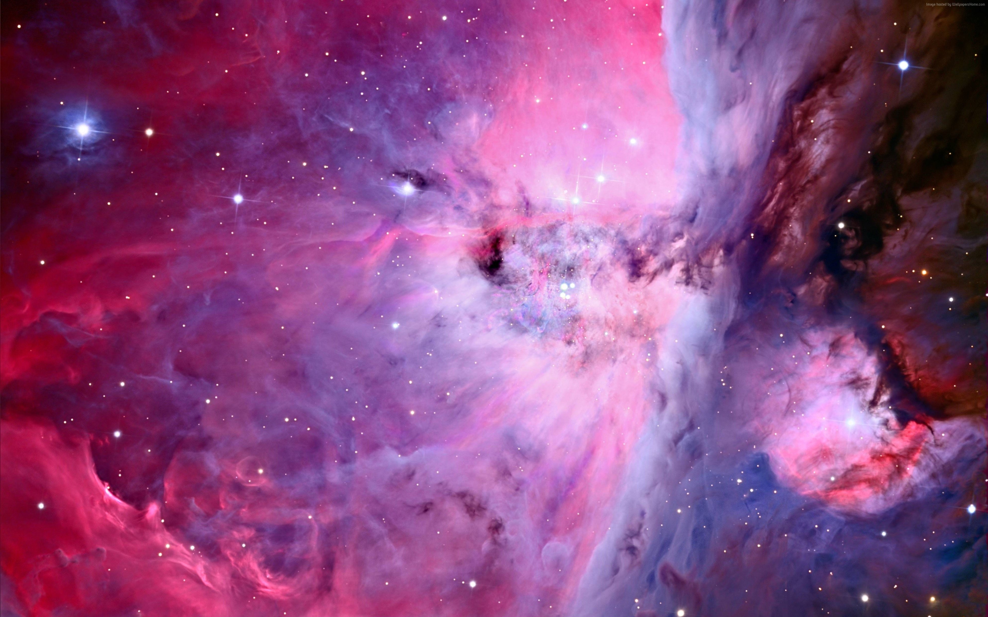 Orion Nebula with stars and cosmic dust HD Wallpaper