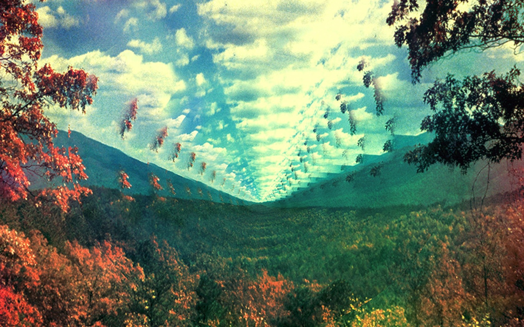 Tame Impala Innerspeaker album cover art HD Wallpaper