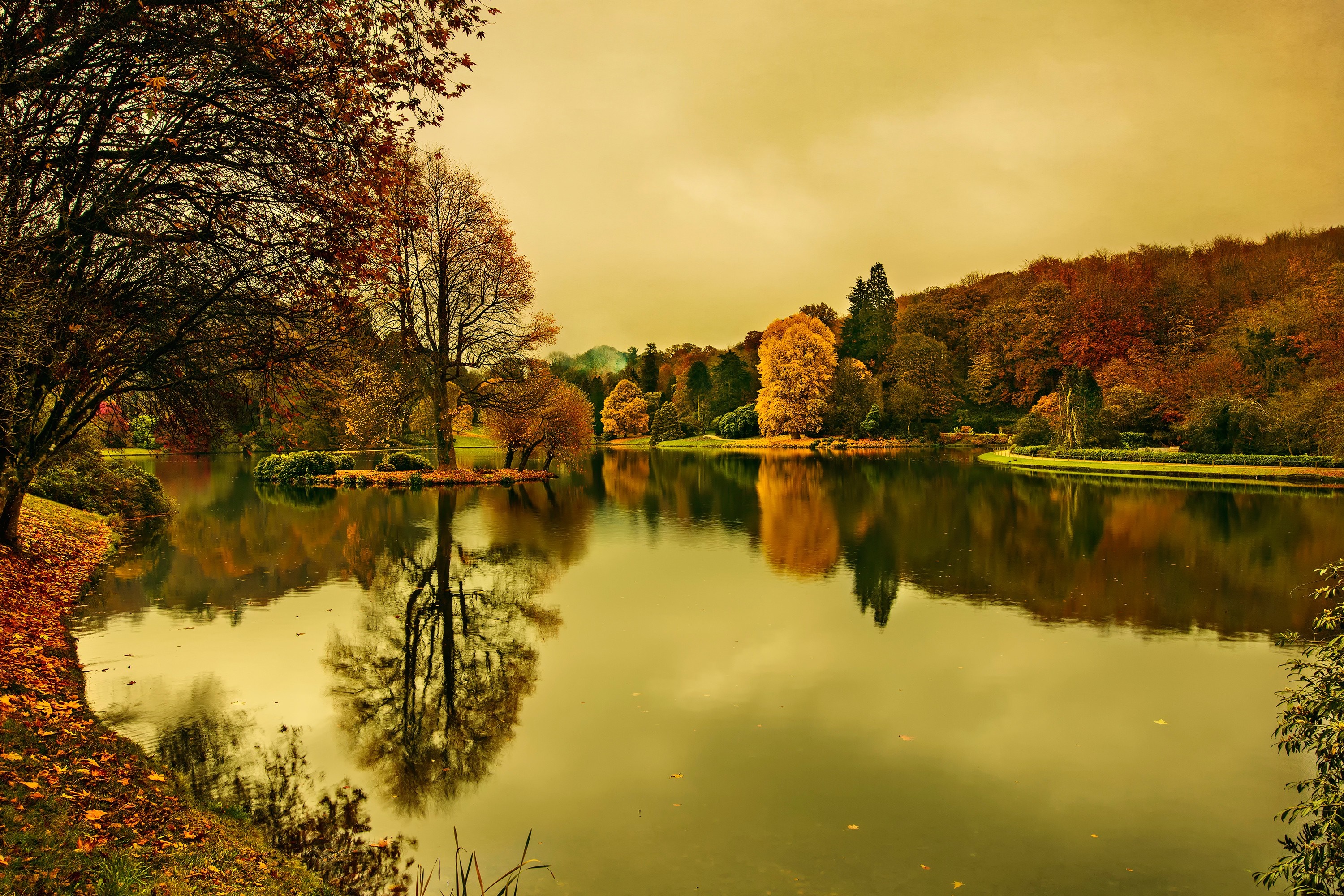 Autumn lake with trees reflecting in the water HD Wallpaper