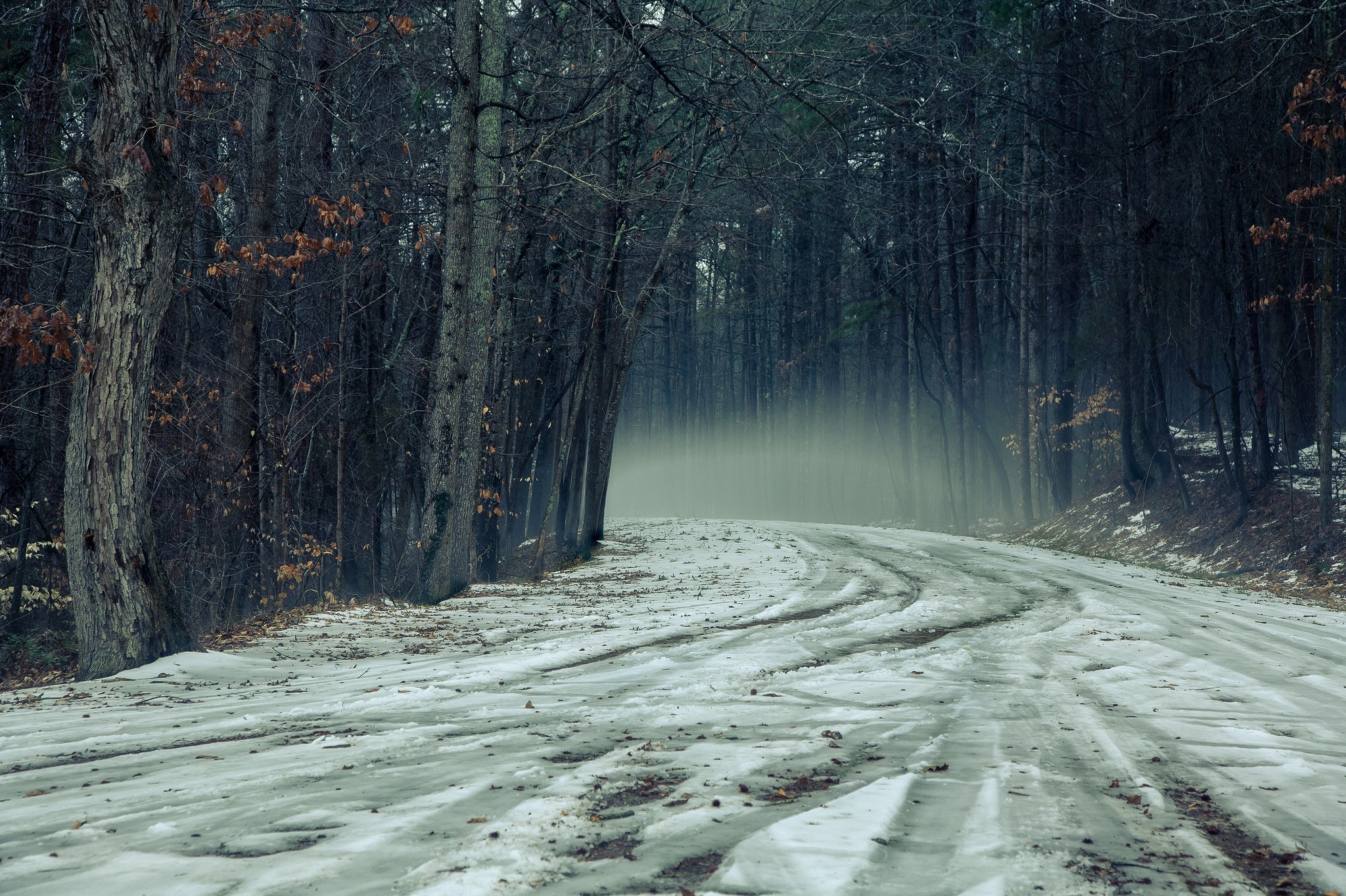 Winding snowy road through a dark, misty forest HD Wallpaper