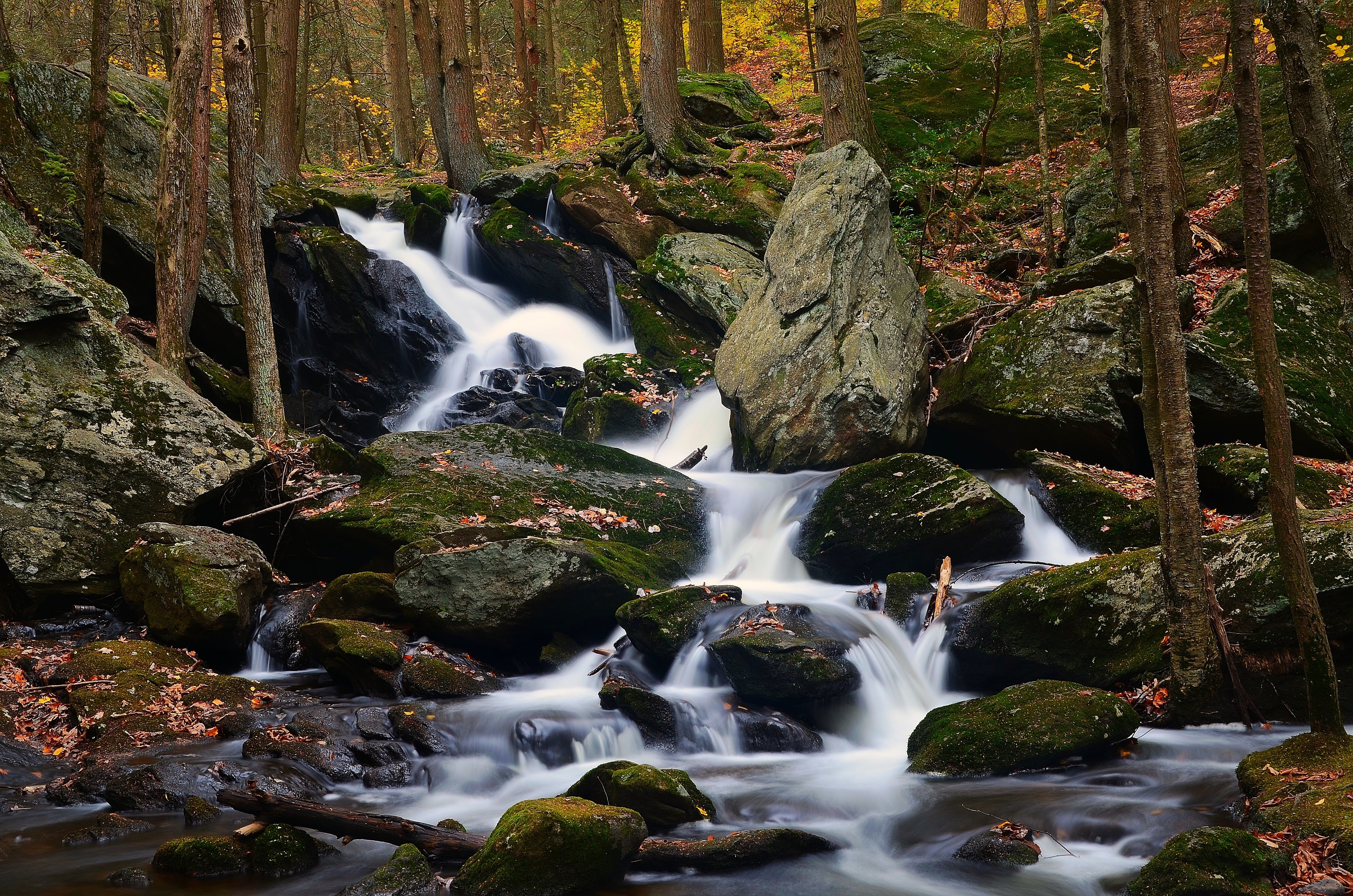 Waterfall flowing over mossy rocks in an autumn forest HD Wallpaper