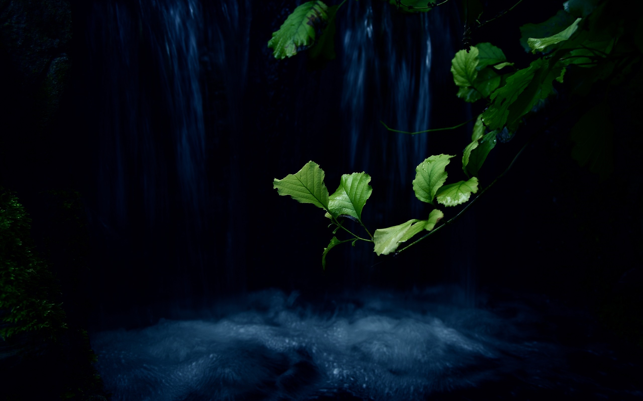 Green leaves near a dark waterfall HD Wallpaper